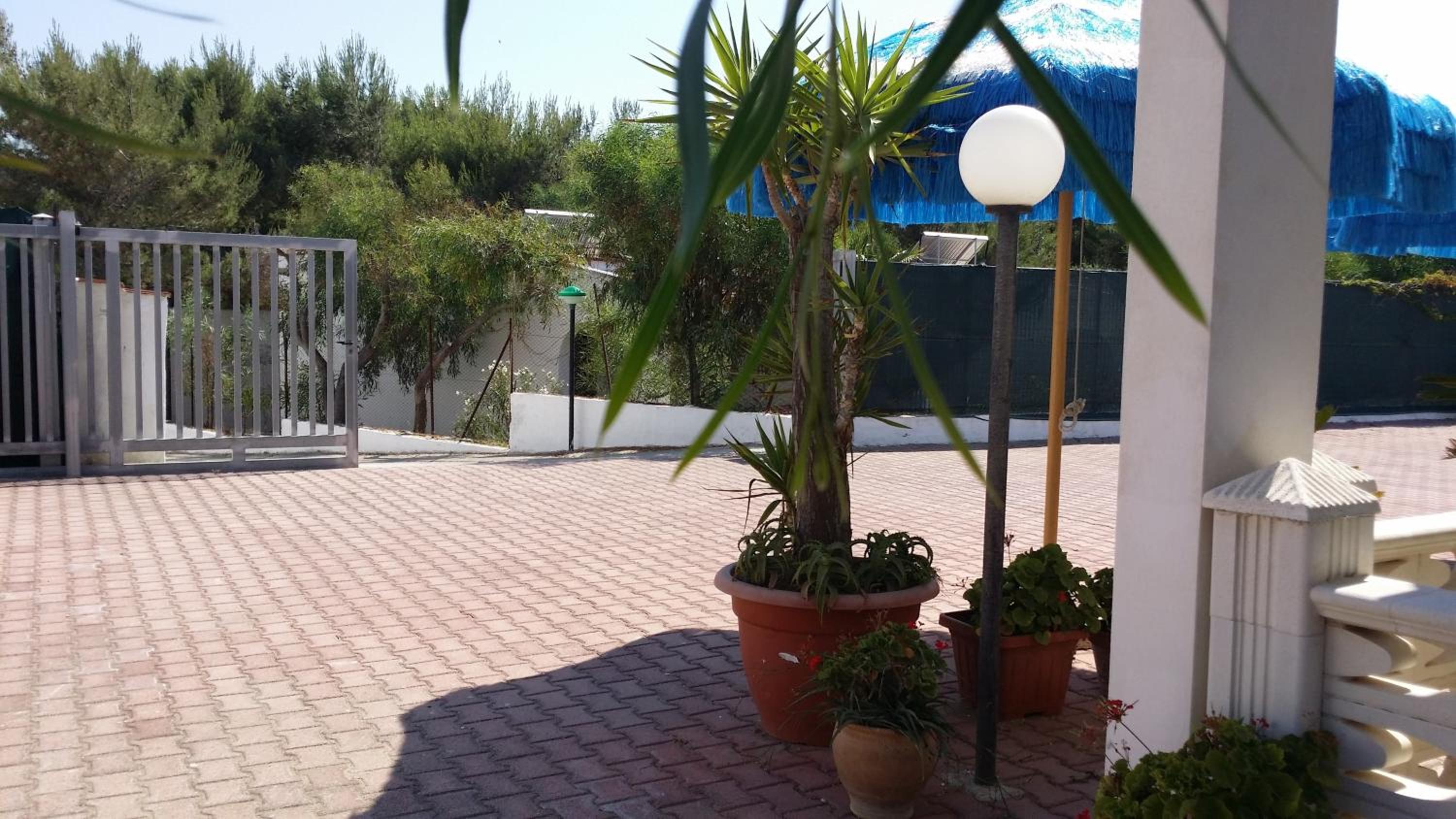 Photo 43