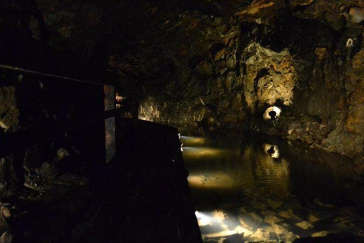 Photo 40