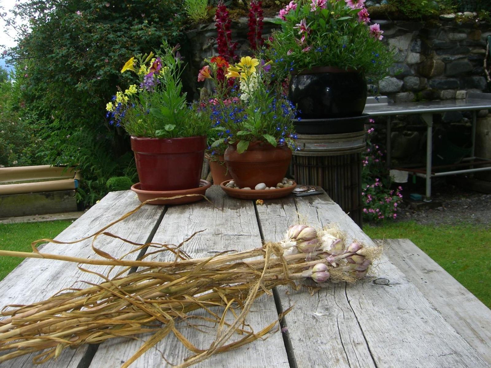 Homer Vacations - Brigitte's Bavarian Bed und Breakfast - Property Image 64