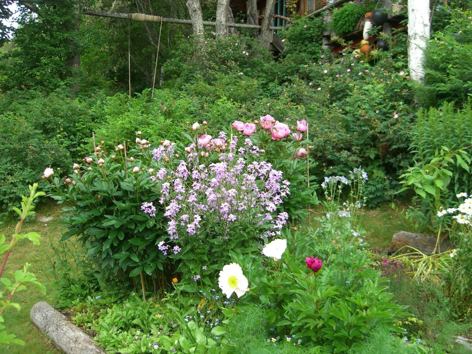 Homer Vacations - Brigitte's Bavarian Bed und Breakfast - Property Image 61