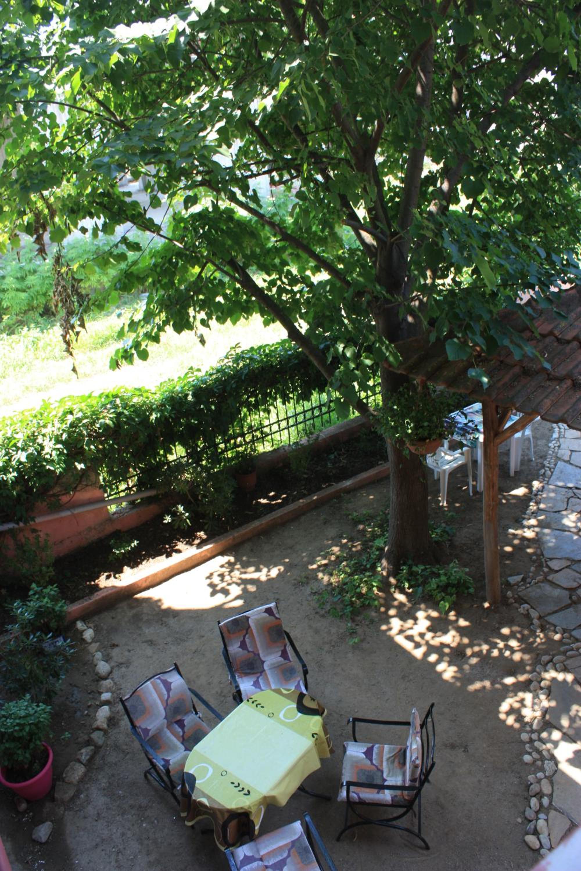 Photo 32