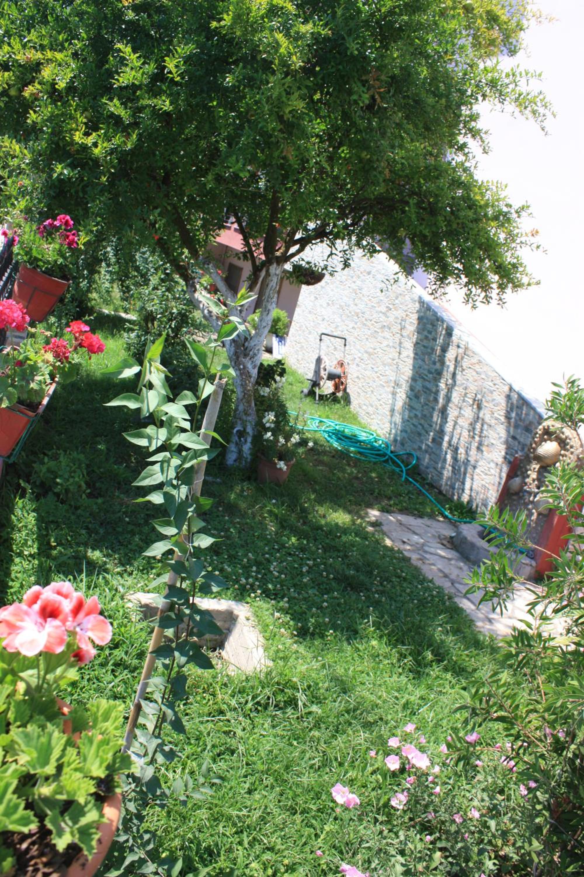 Photo 26