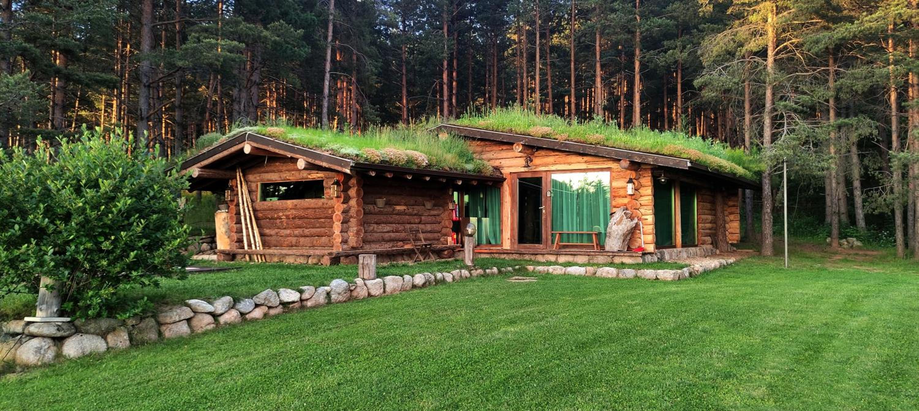 Forest Houses view 5