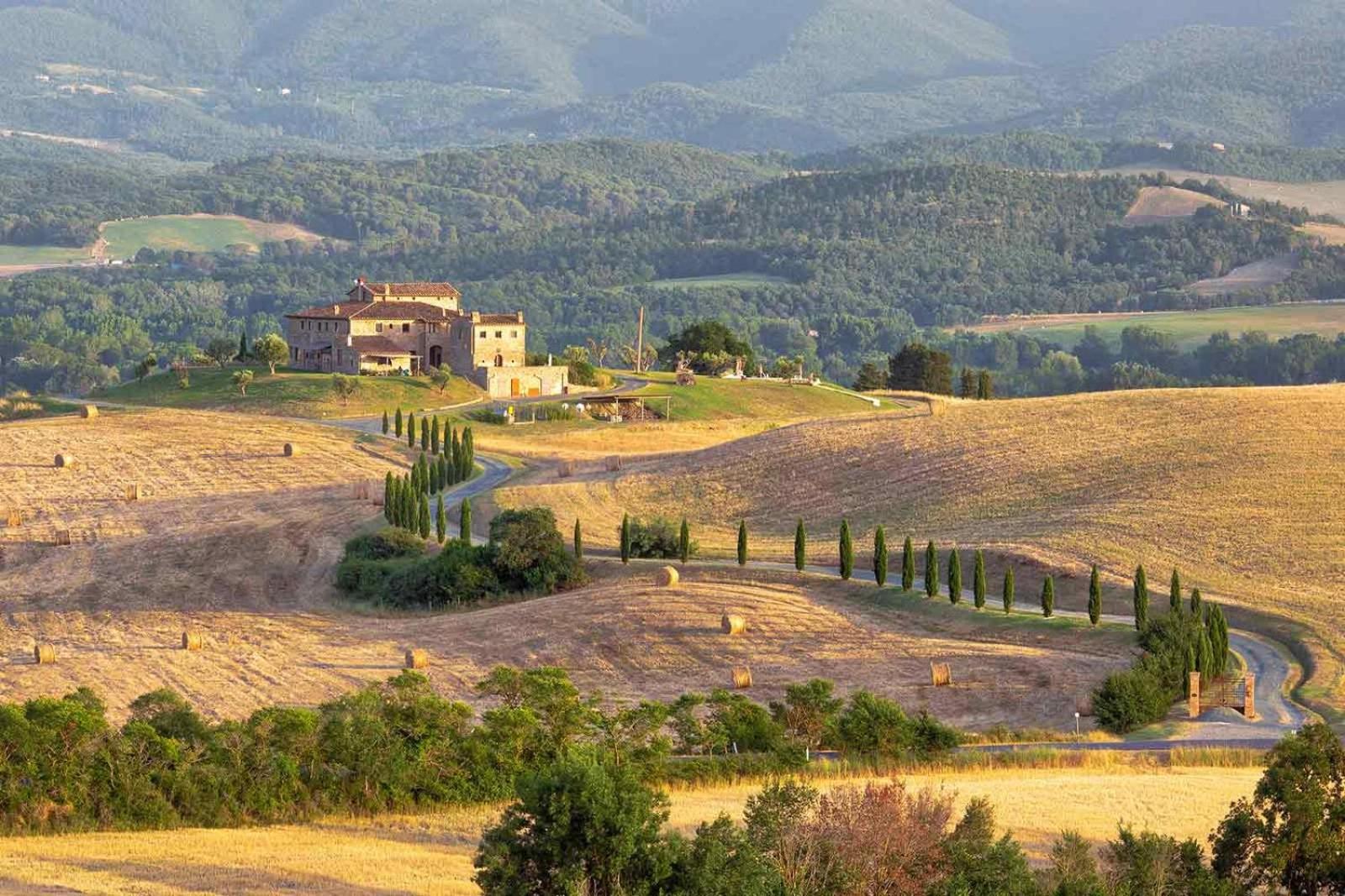 Podere Calvaiola