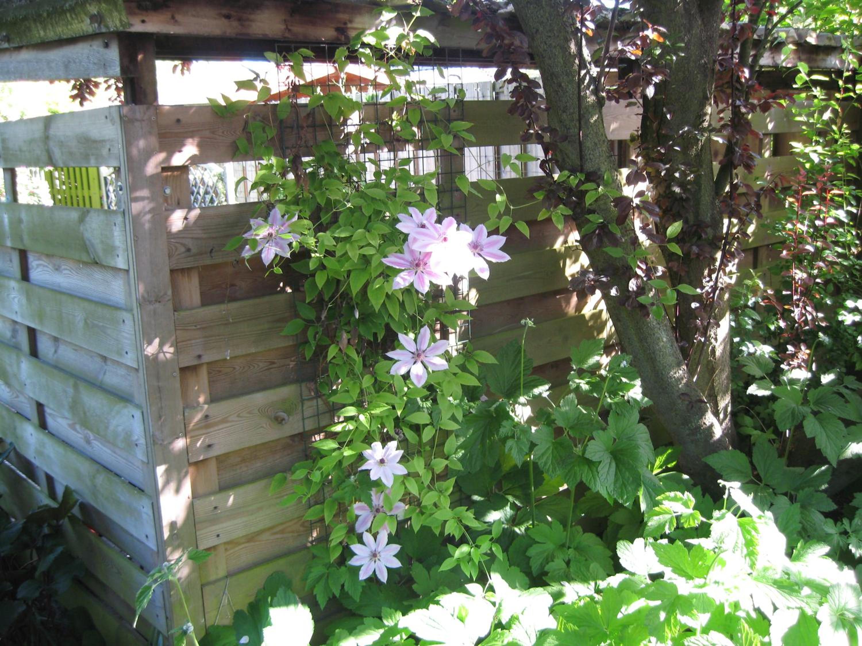 Photo 38