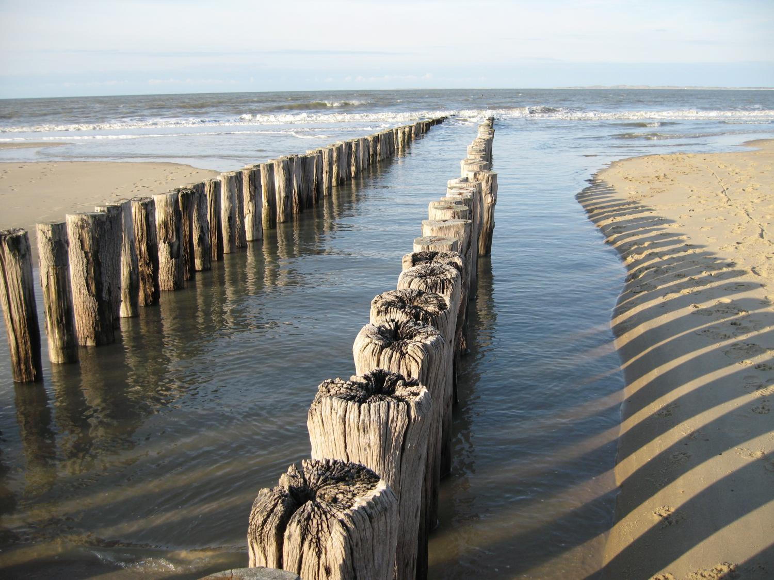Photo 44