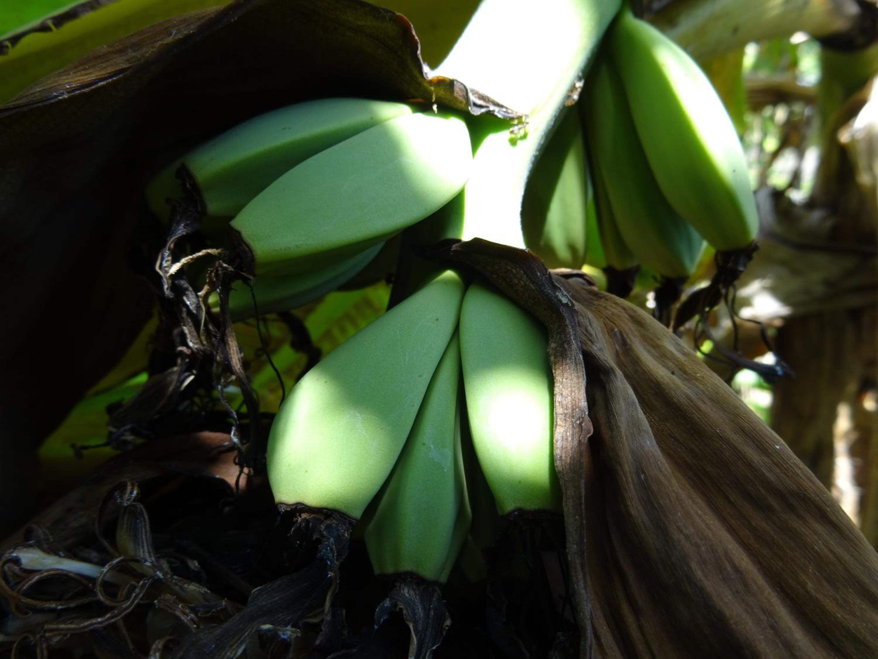 Photo 19