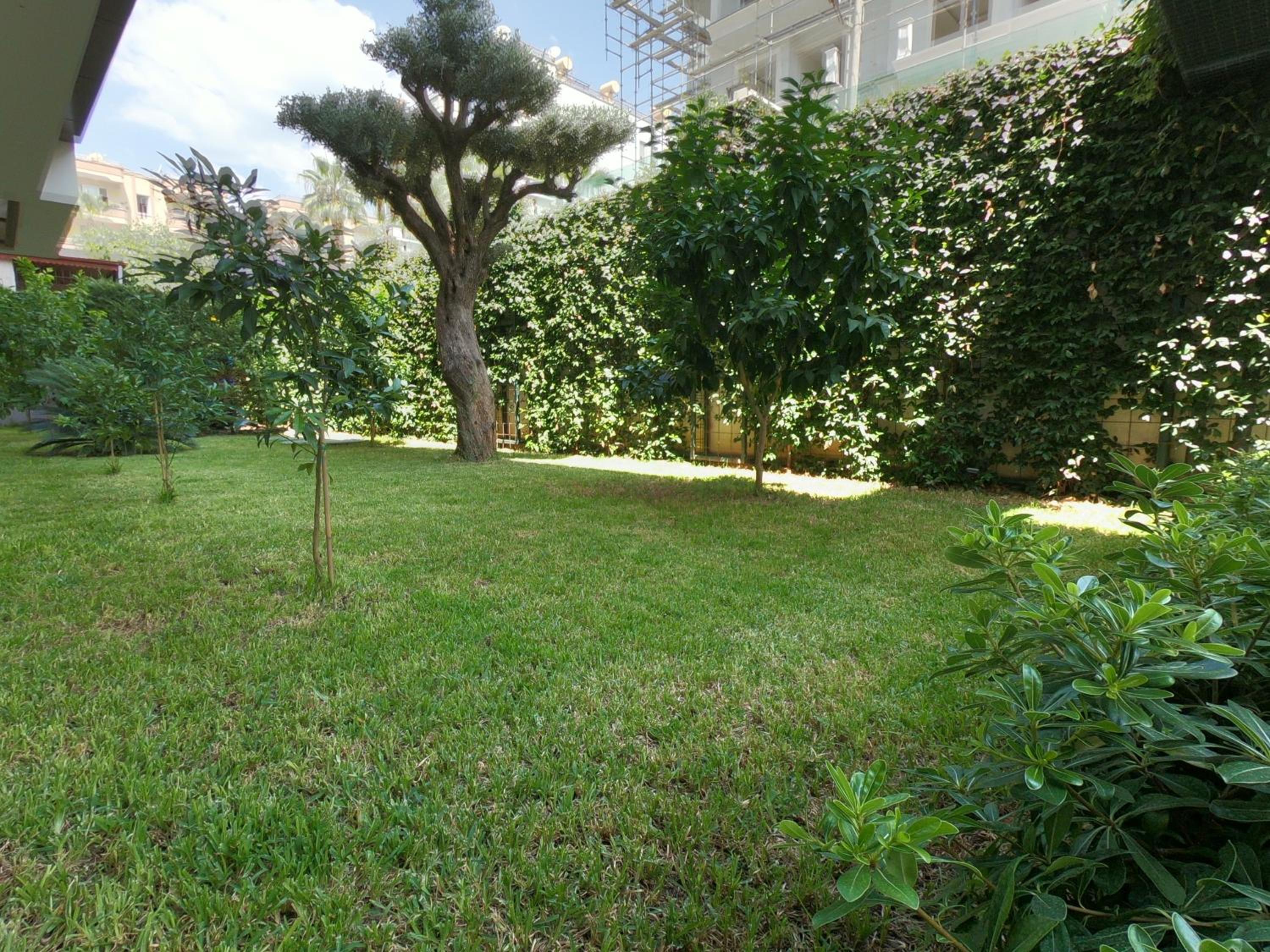 Photo 24