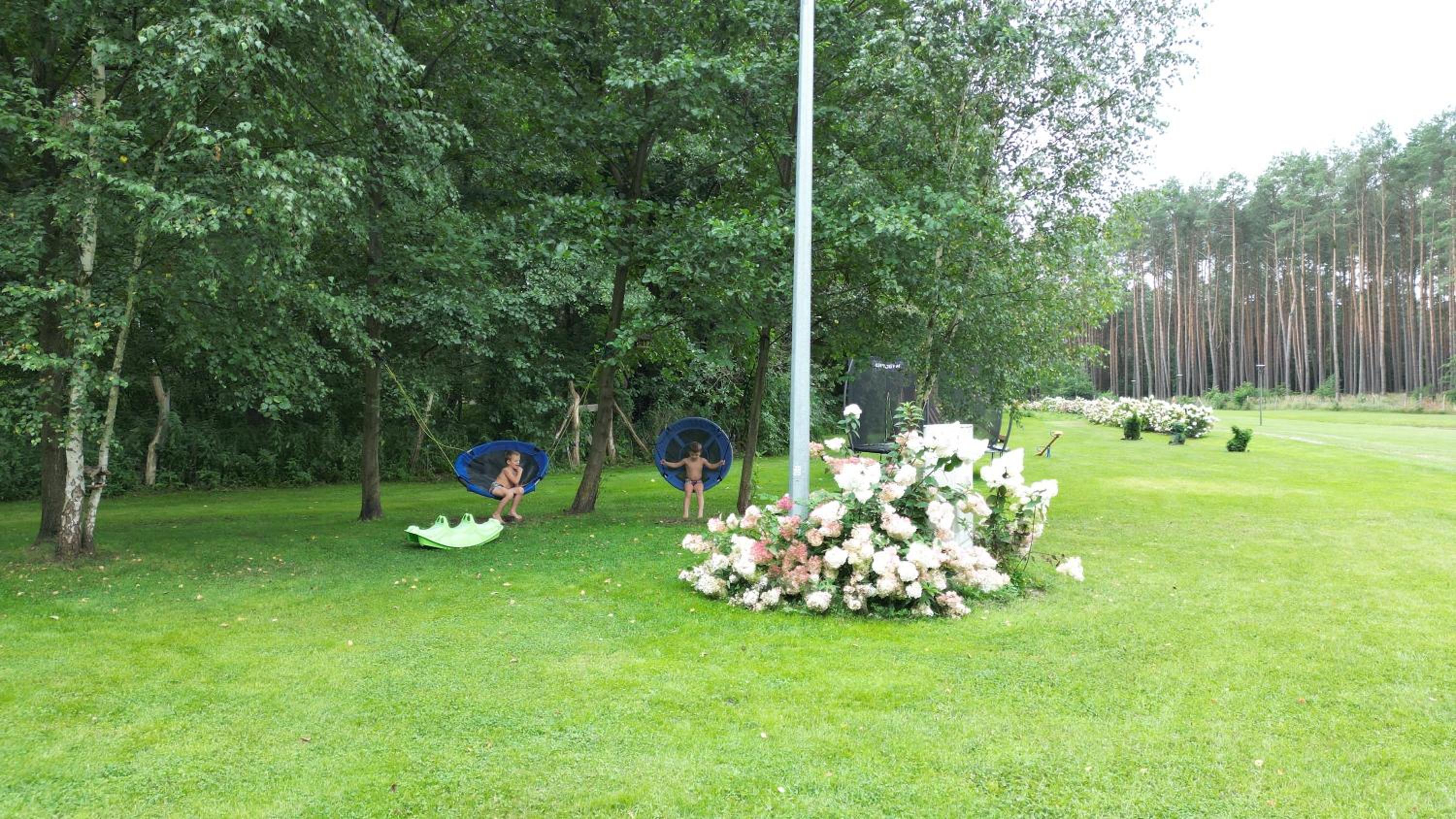 Photo 46