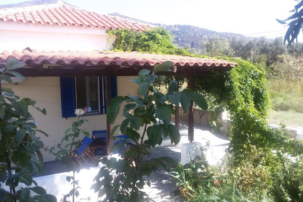 A CASA D'IRENE photo 5