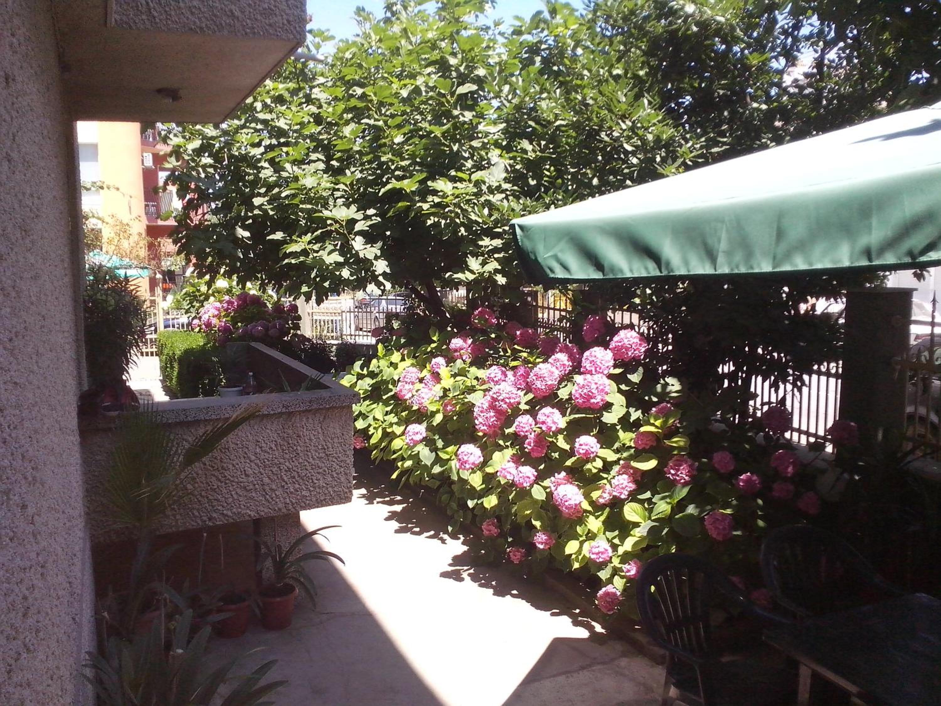 Guest House Krasi