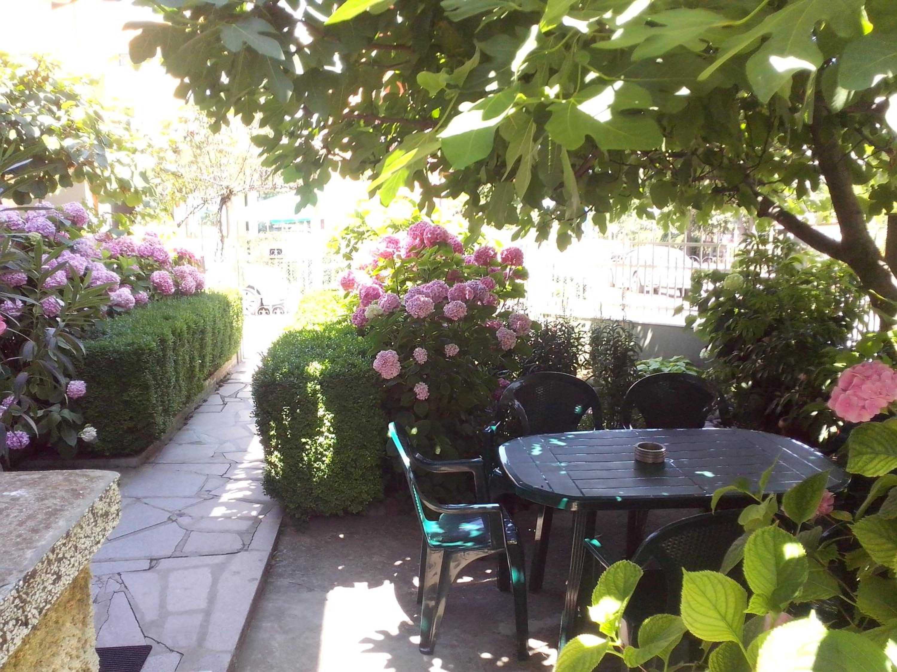 Guest House Krasi