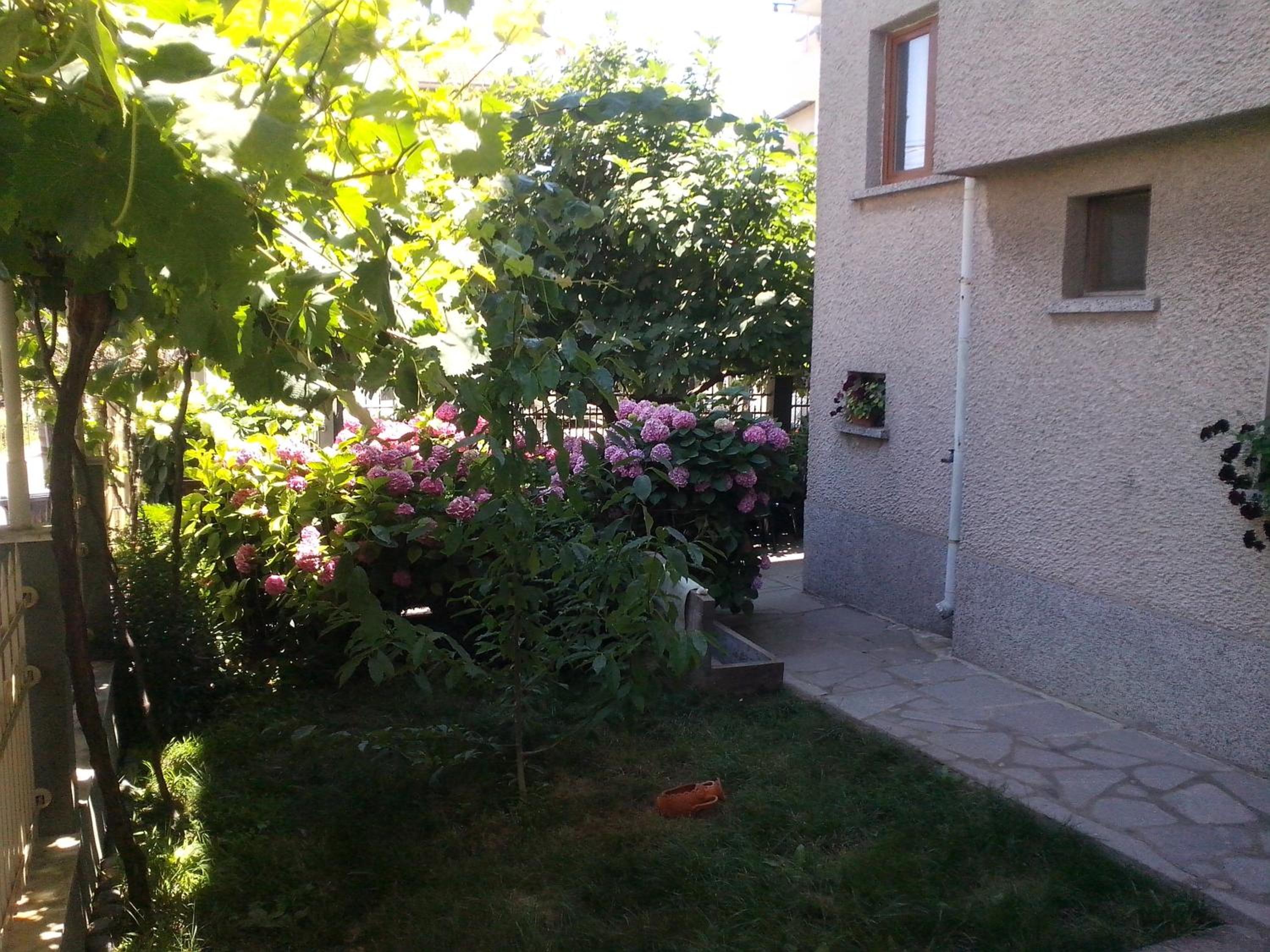 Guest House Krasi