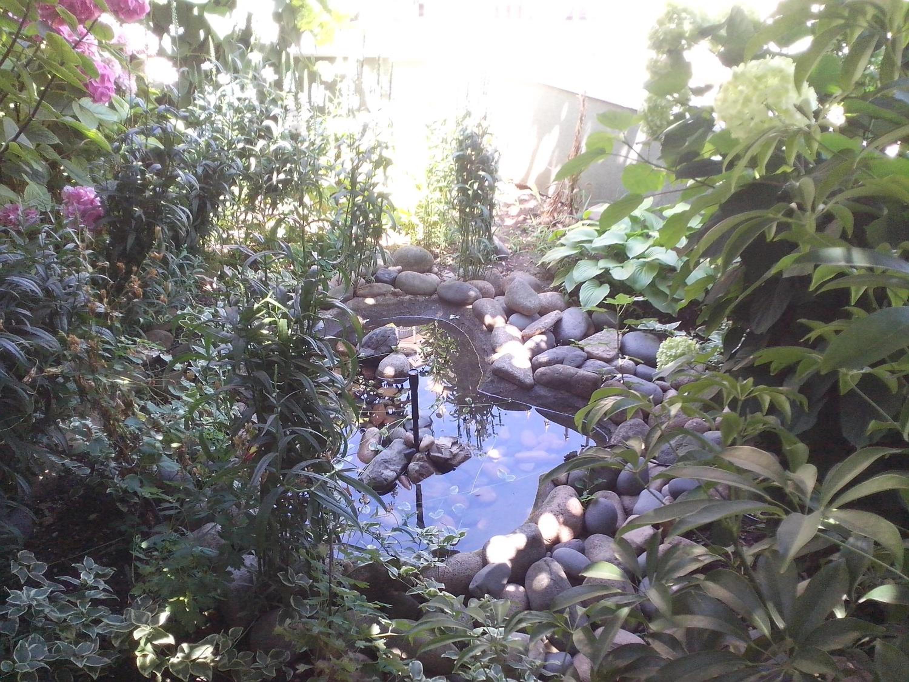 Guest House Krasi