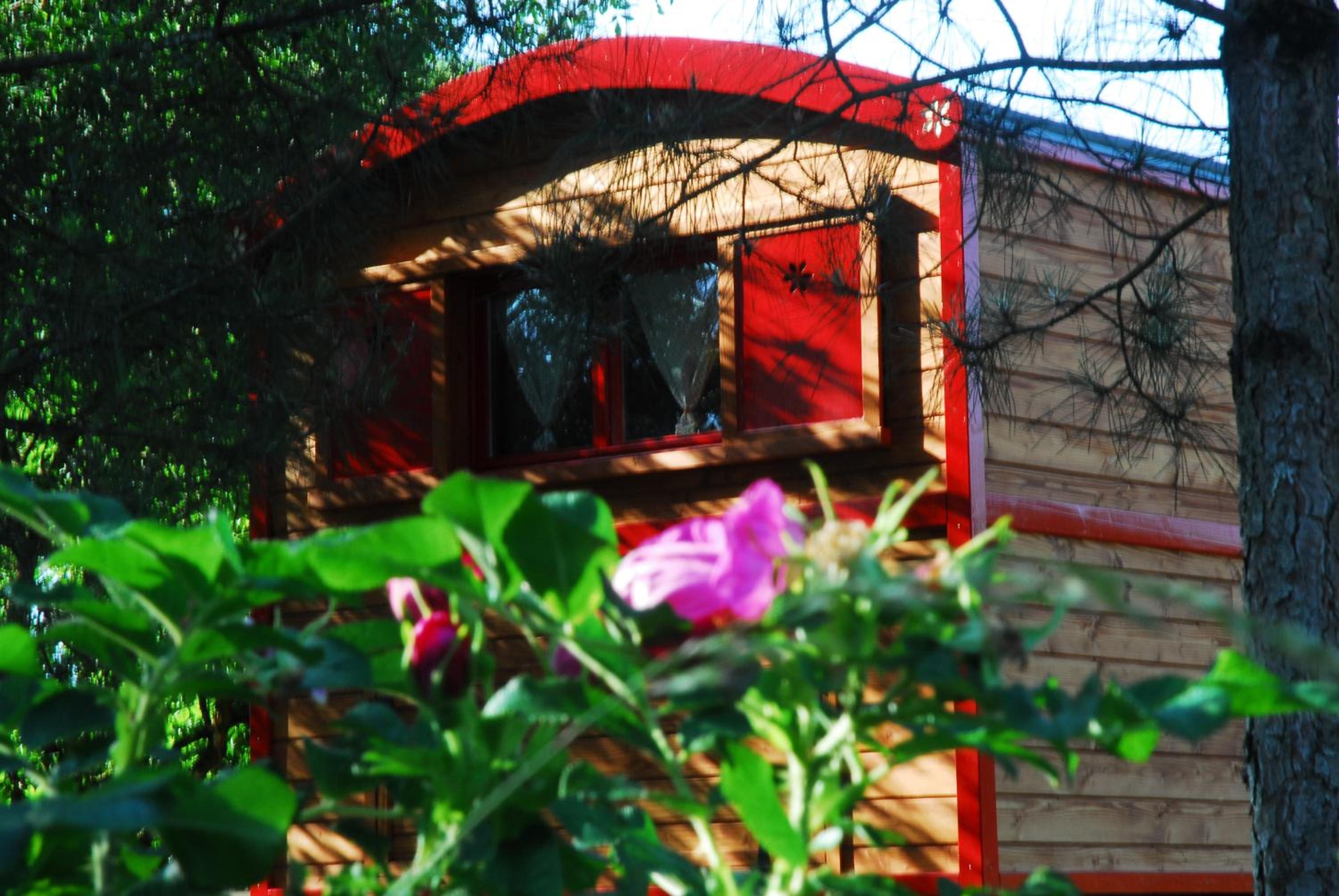 Gypsy Nature B&B