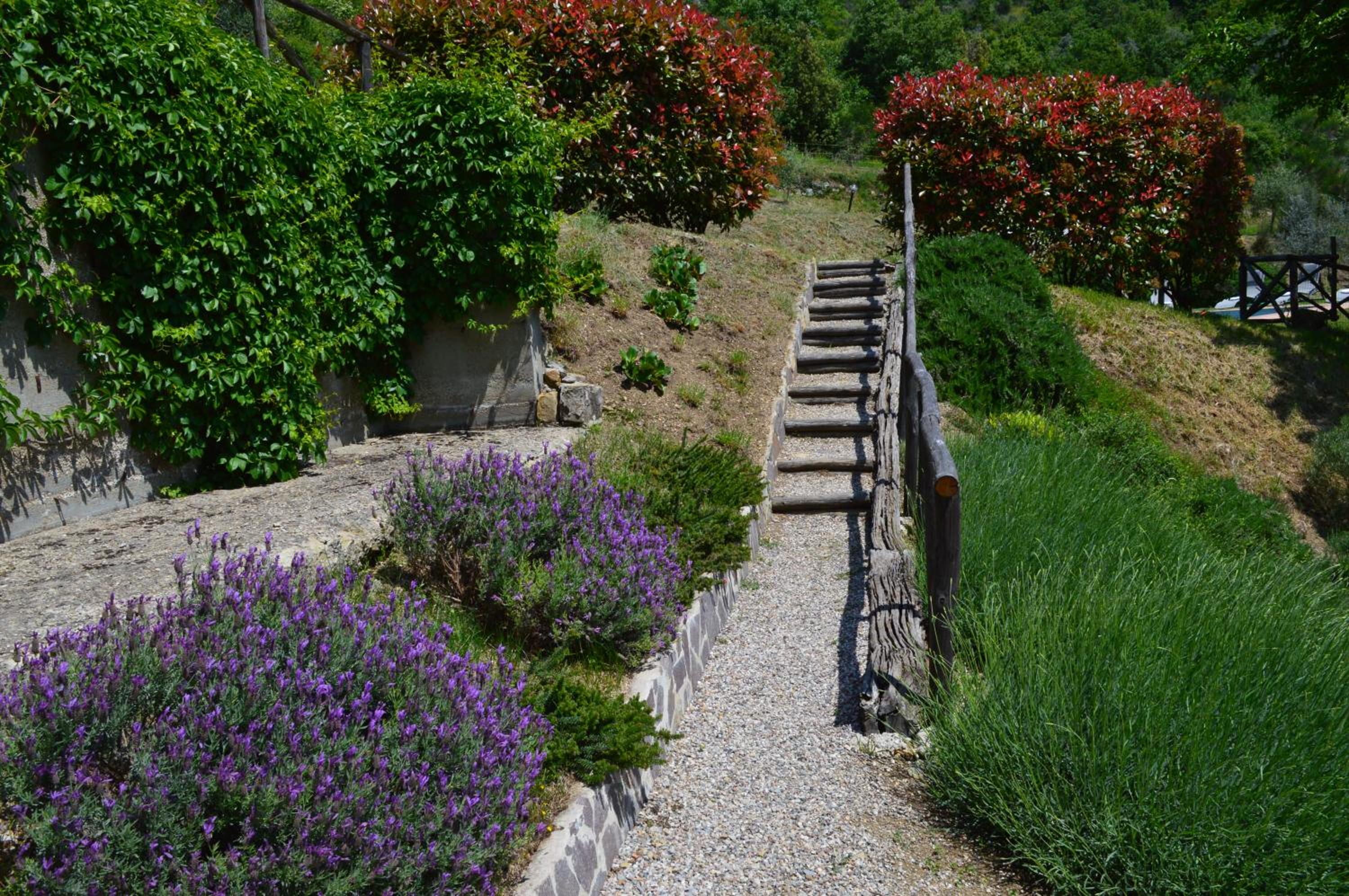 Photo 45