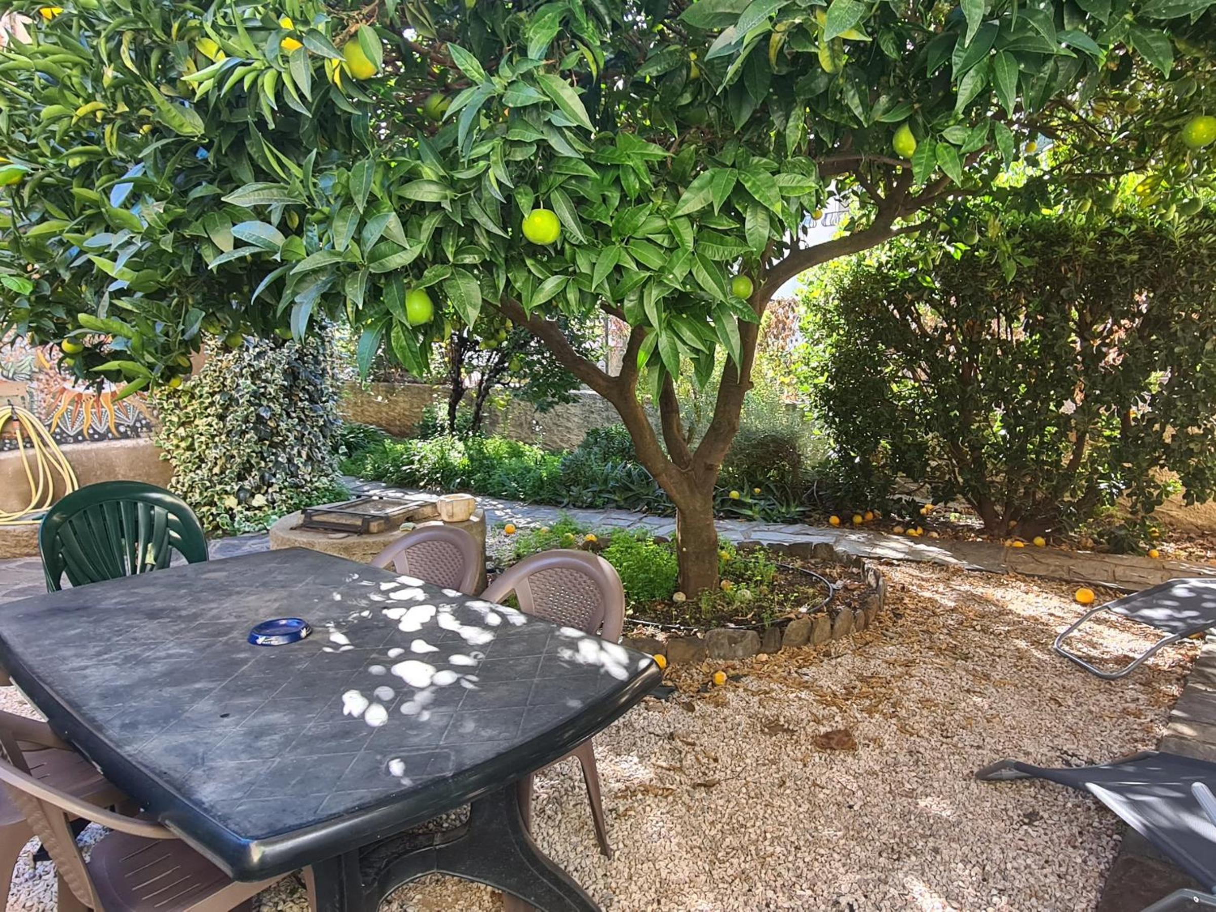 Maison Banyuls-sur-Mer, 4 pièces, 6 personnes - FR-1-309-34 view 4