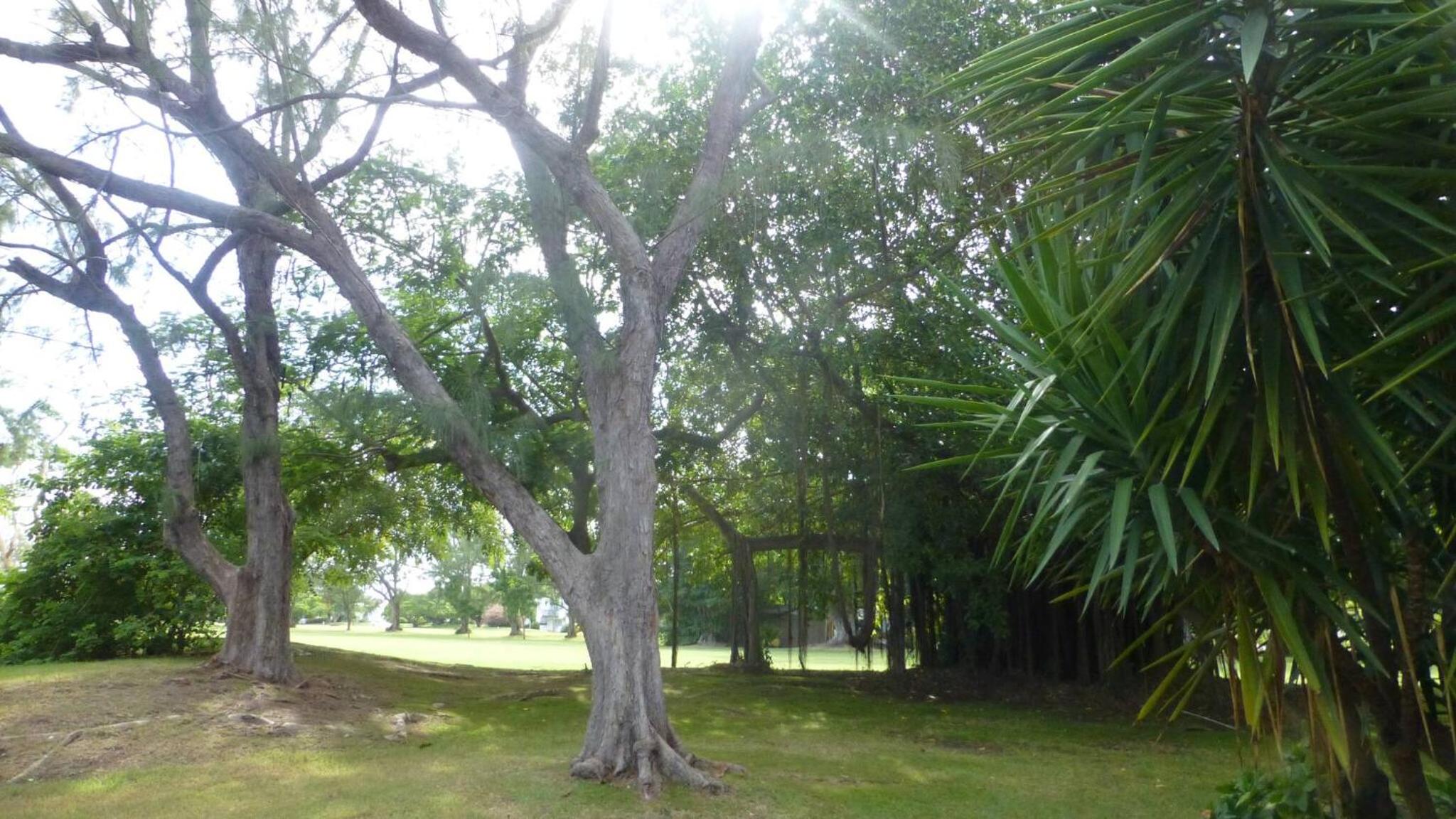 Photo 16 sur 19 de Rockley Golf Club 309 2 Bed 2 Bath Pool Tennis Bar