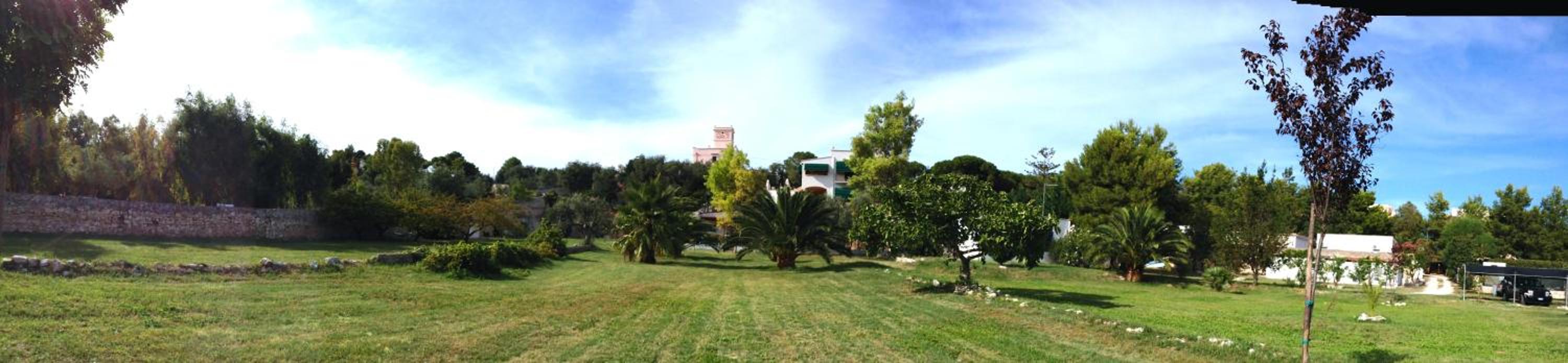 garden