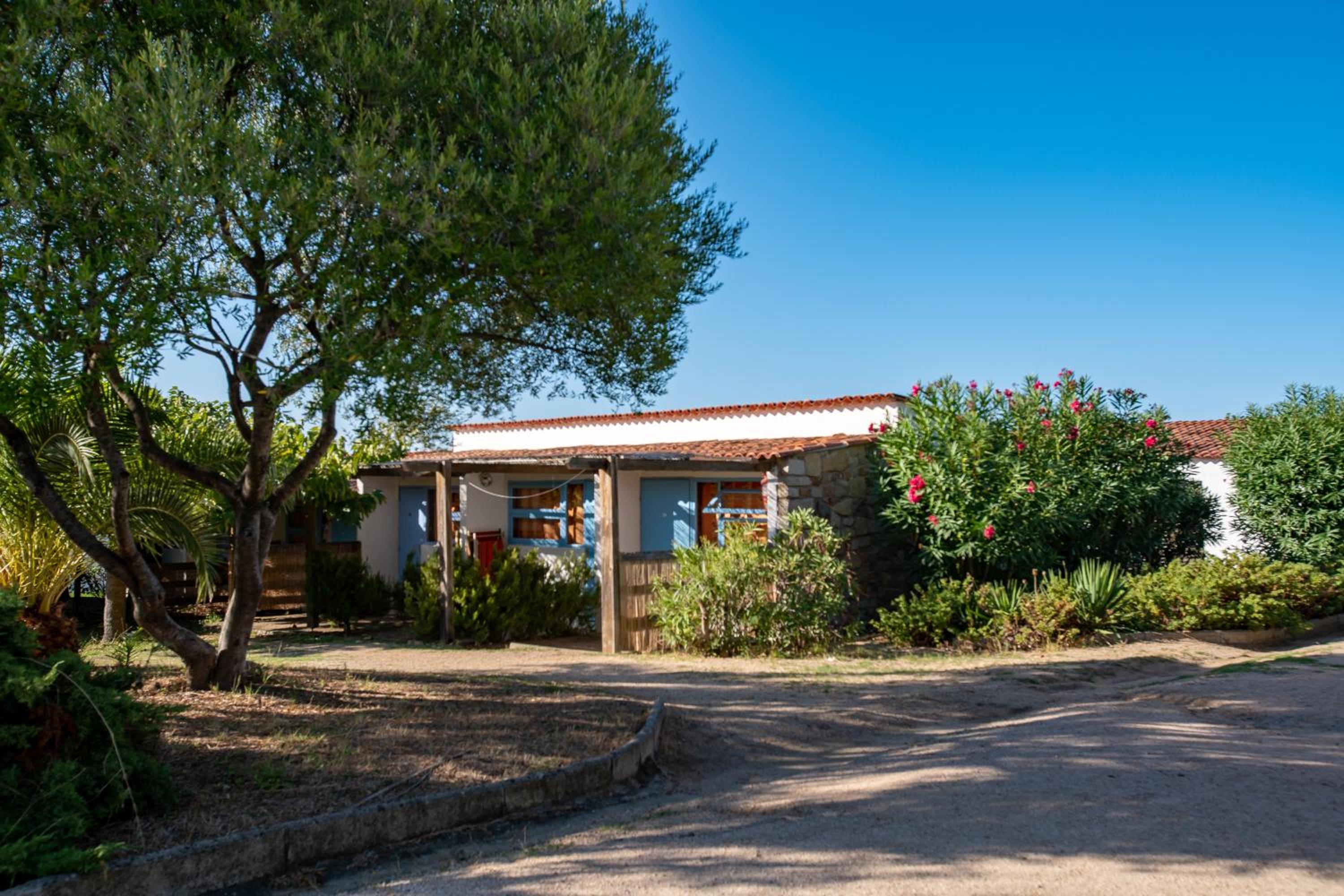 Photo 44