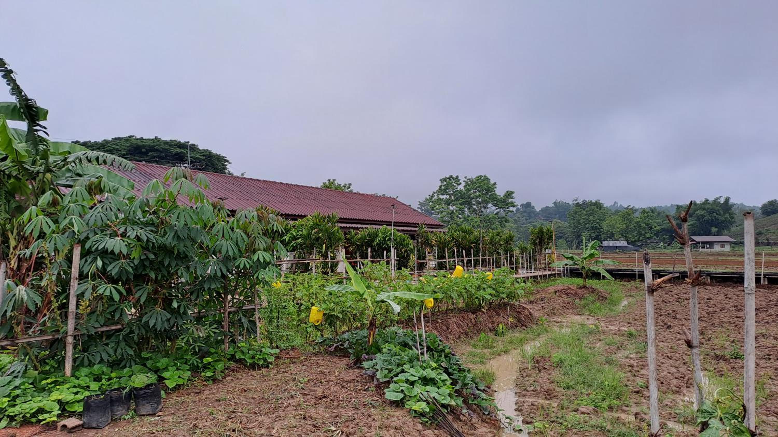 Ban Lom Jen Homestay