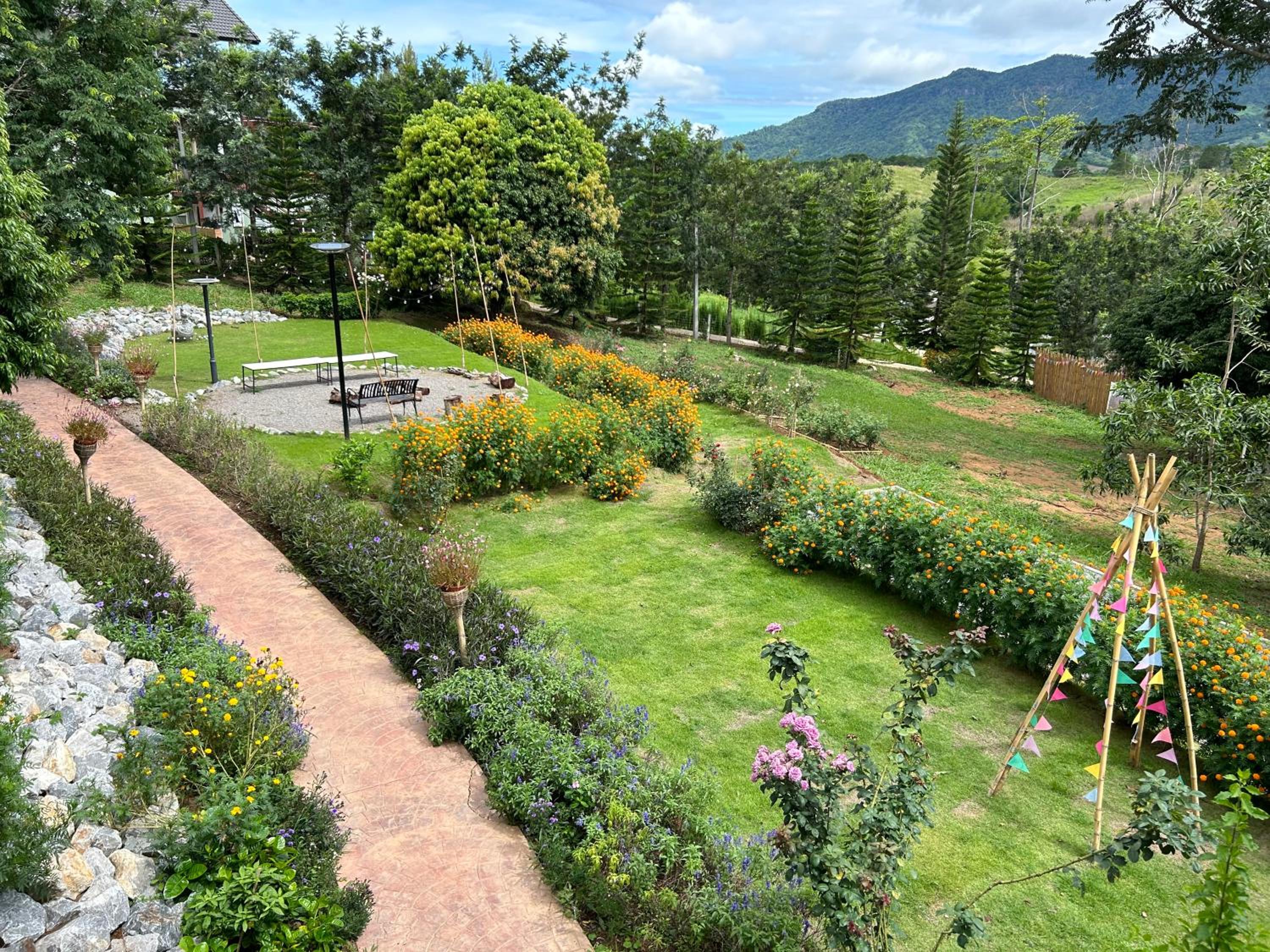 garden