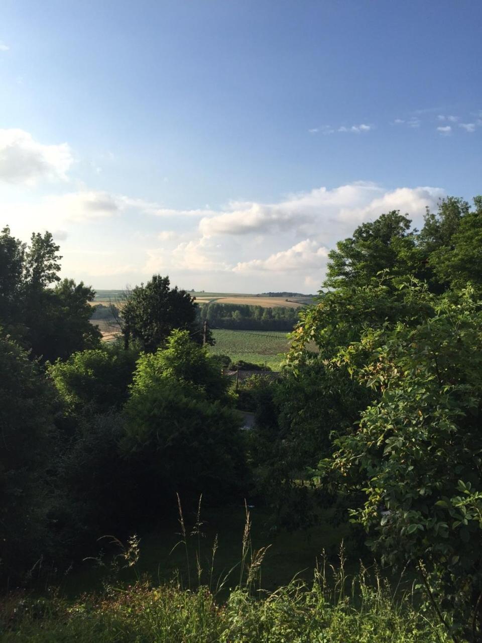 Chez Brown view 2