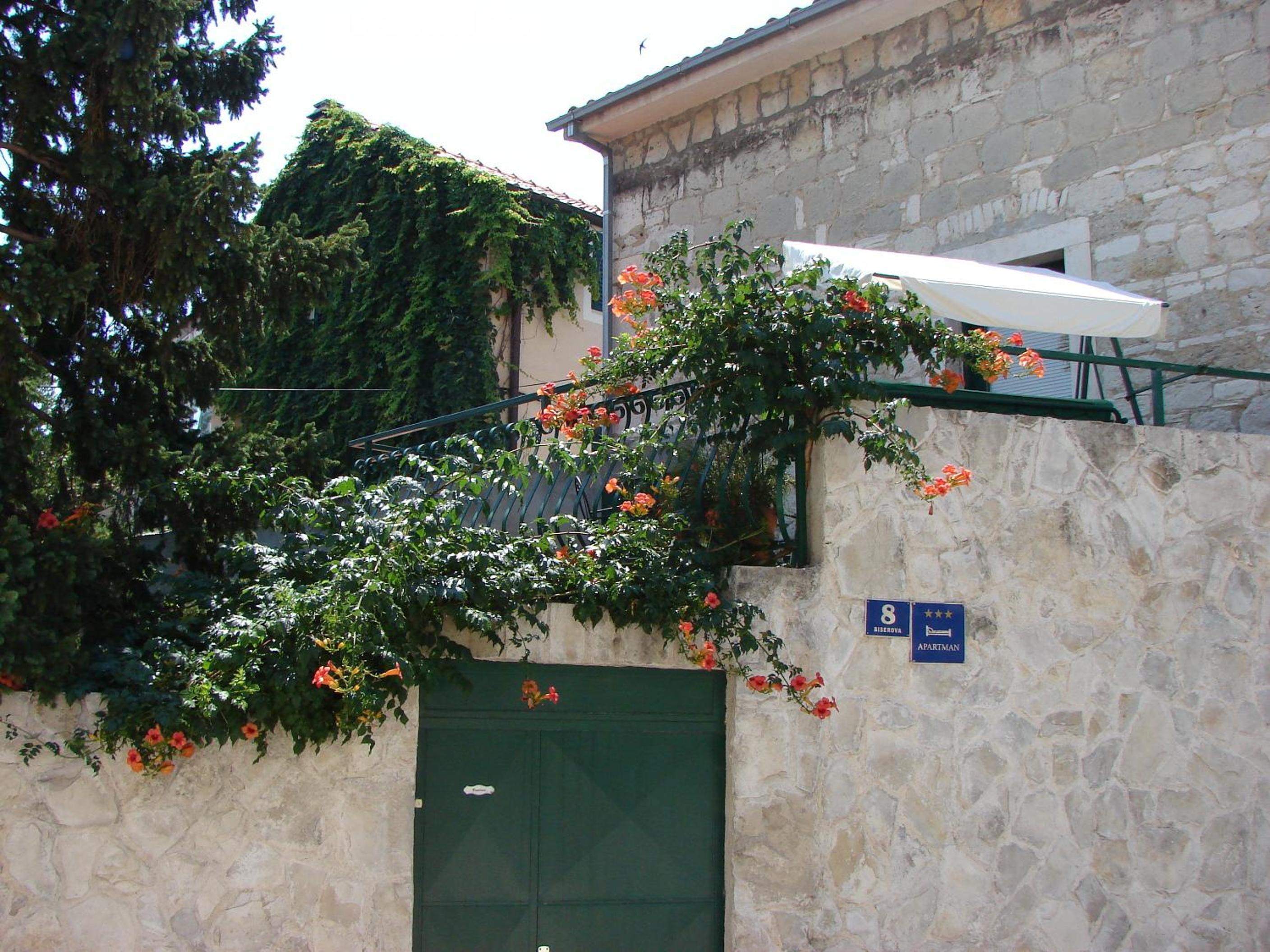Photo 47