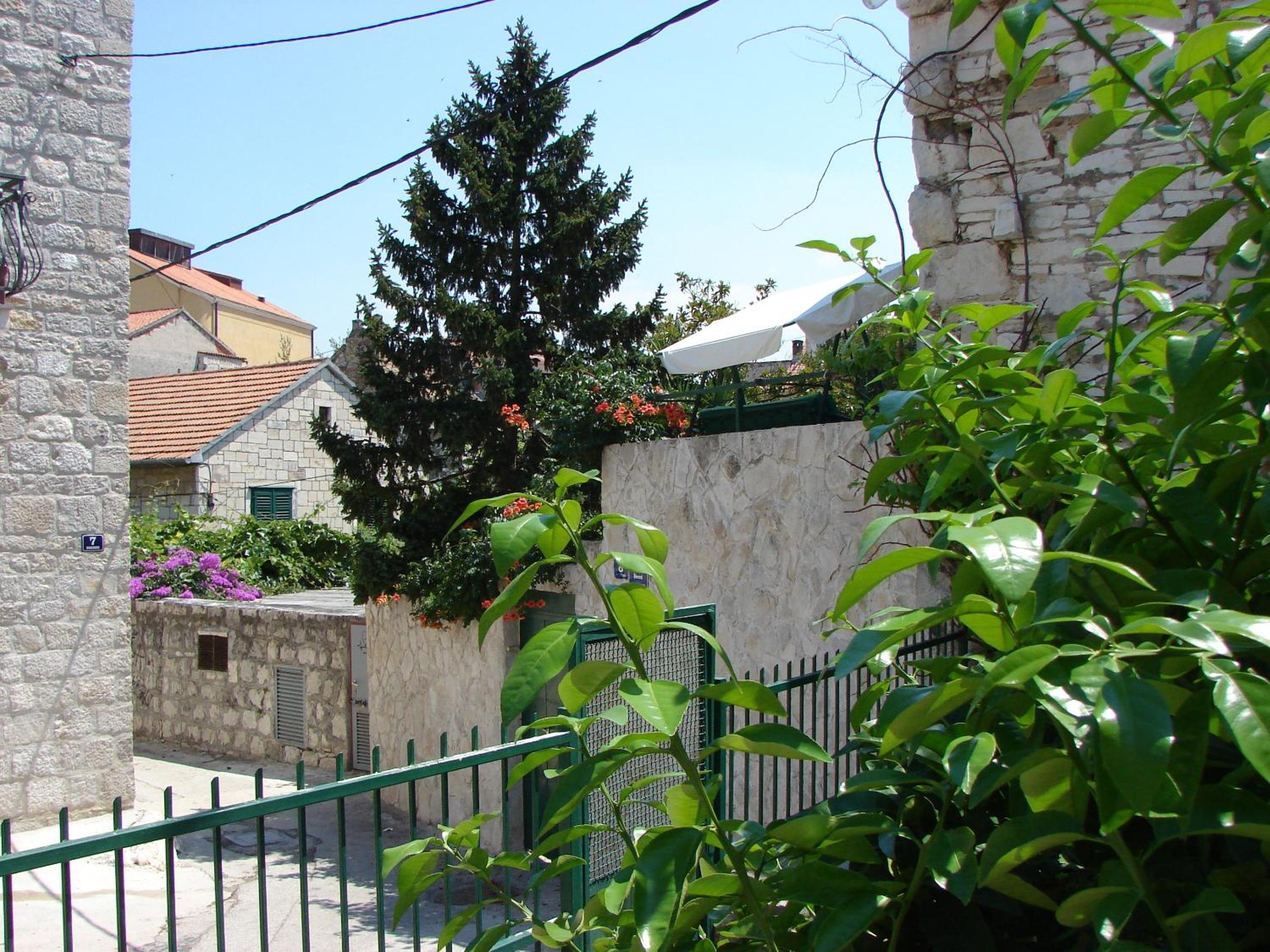 Photo 36