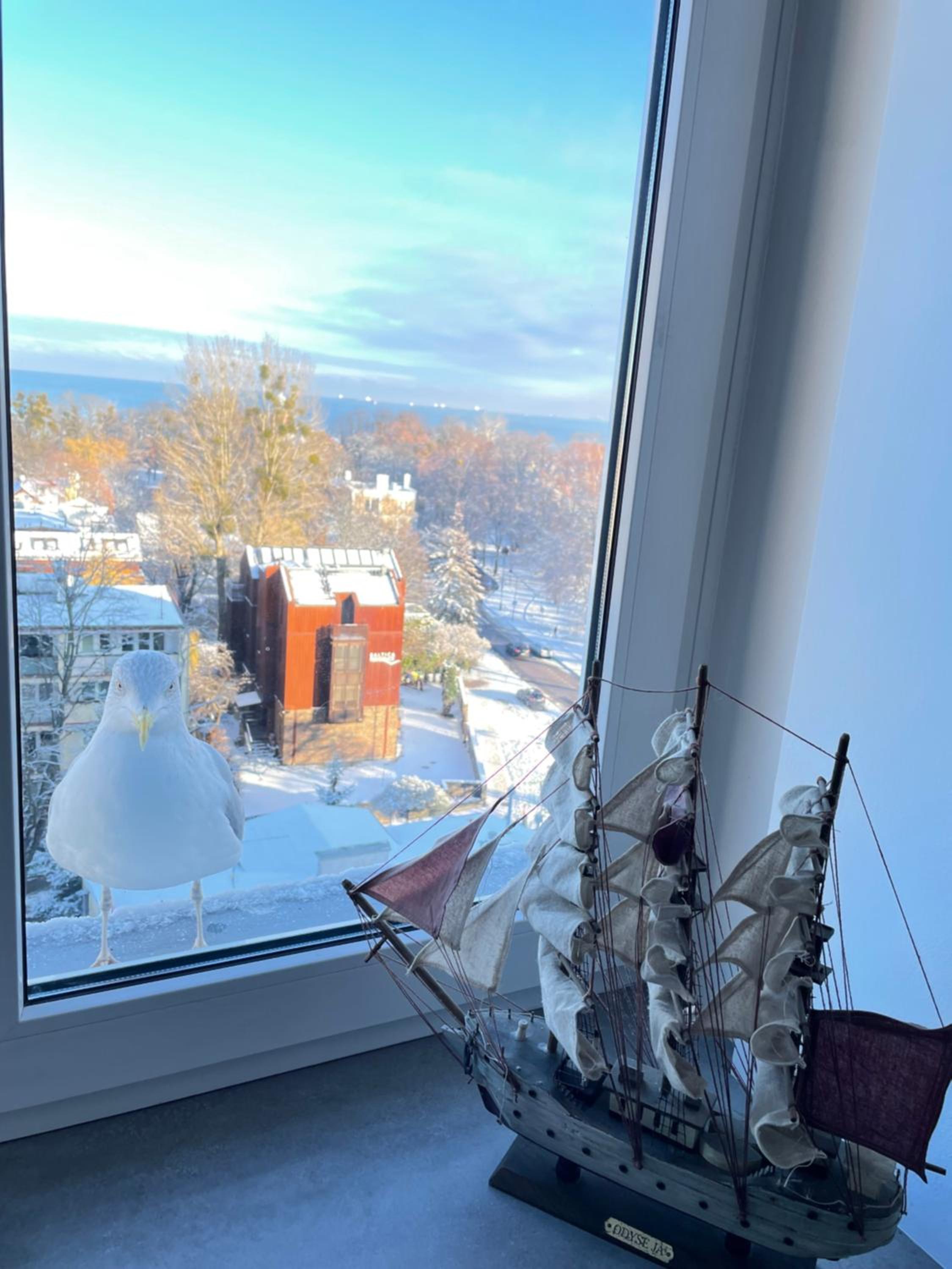 Apartament Karlikowska z widokiem na morze view 4