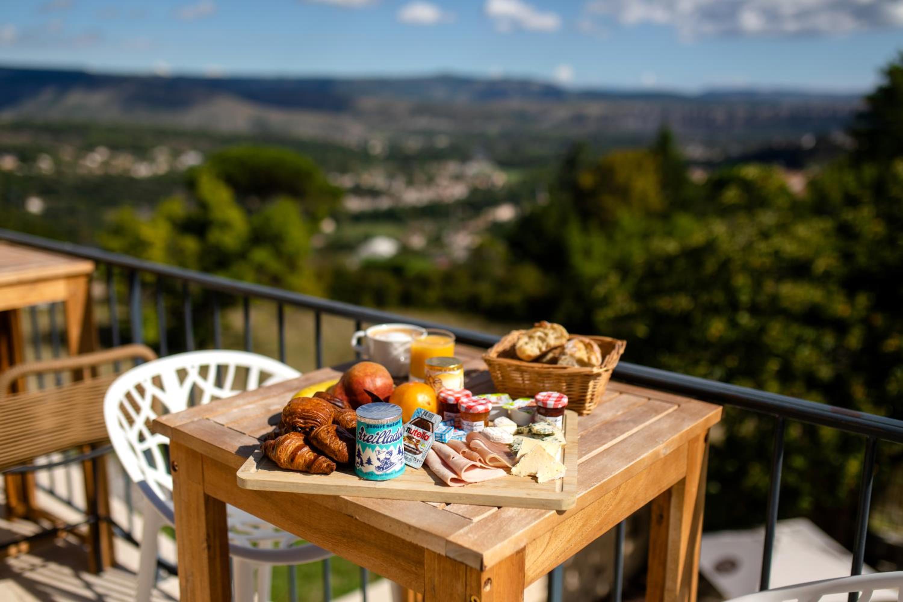 Domaine de la Pinède view 4