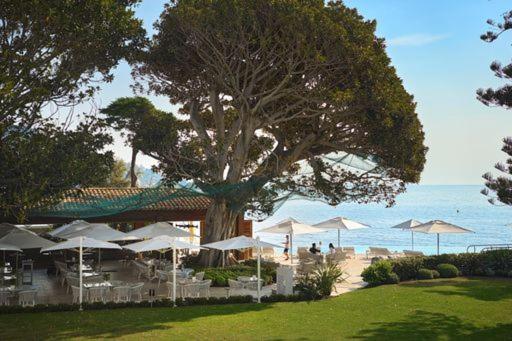 Hôtel Cap-Estel 19