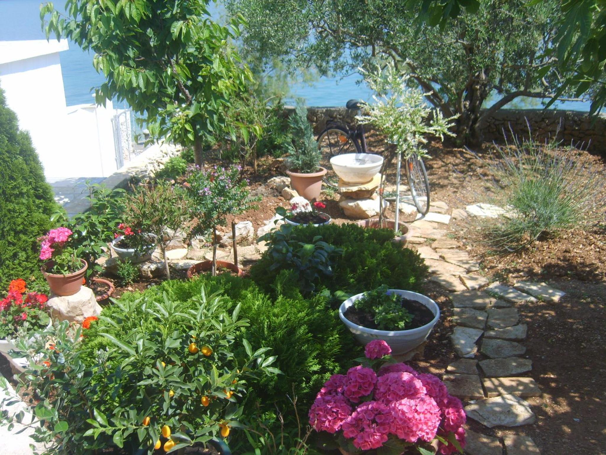 Photo 31