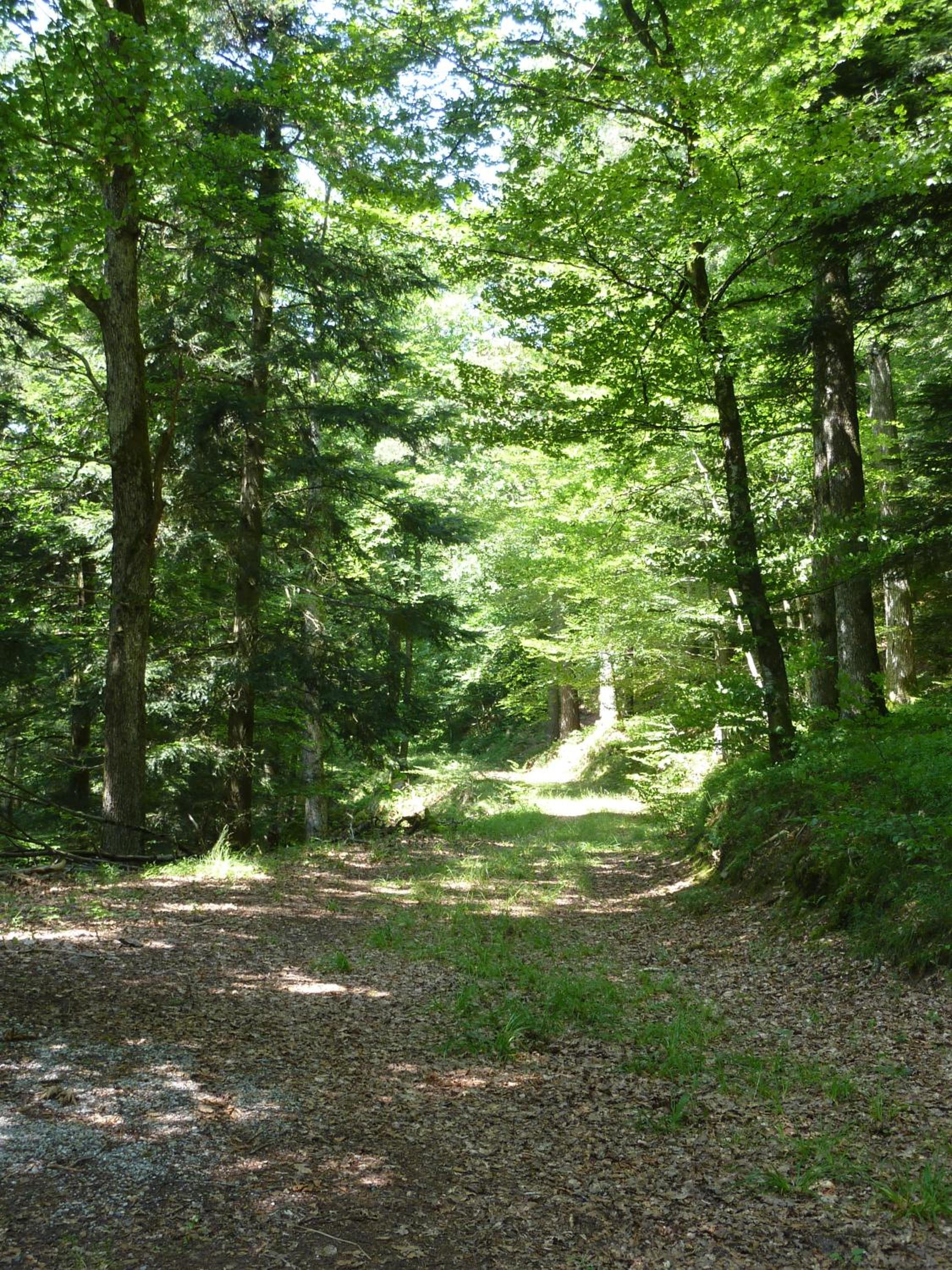children's play area