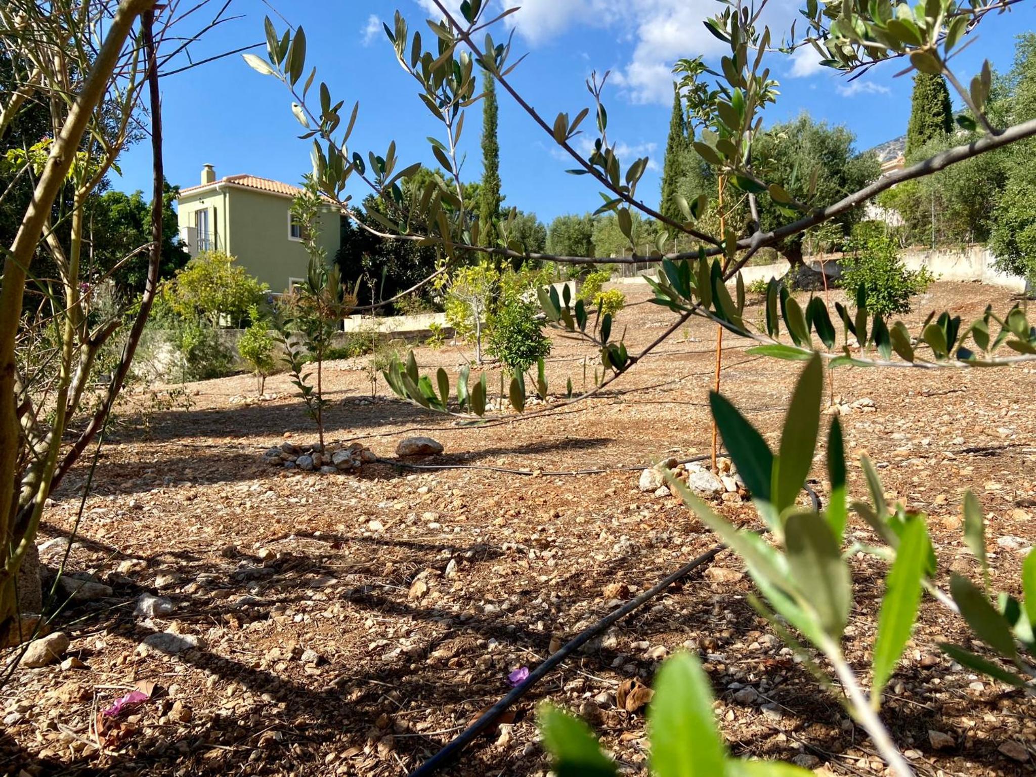 Villa Manoli photo 2