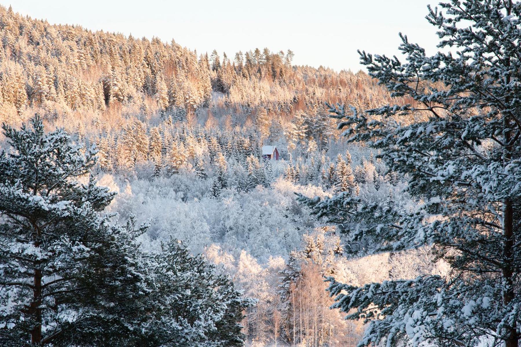 Torpet i Sjö