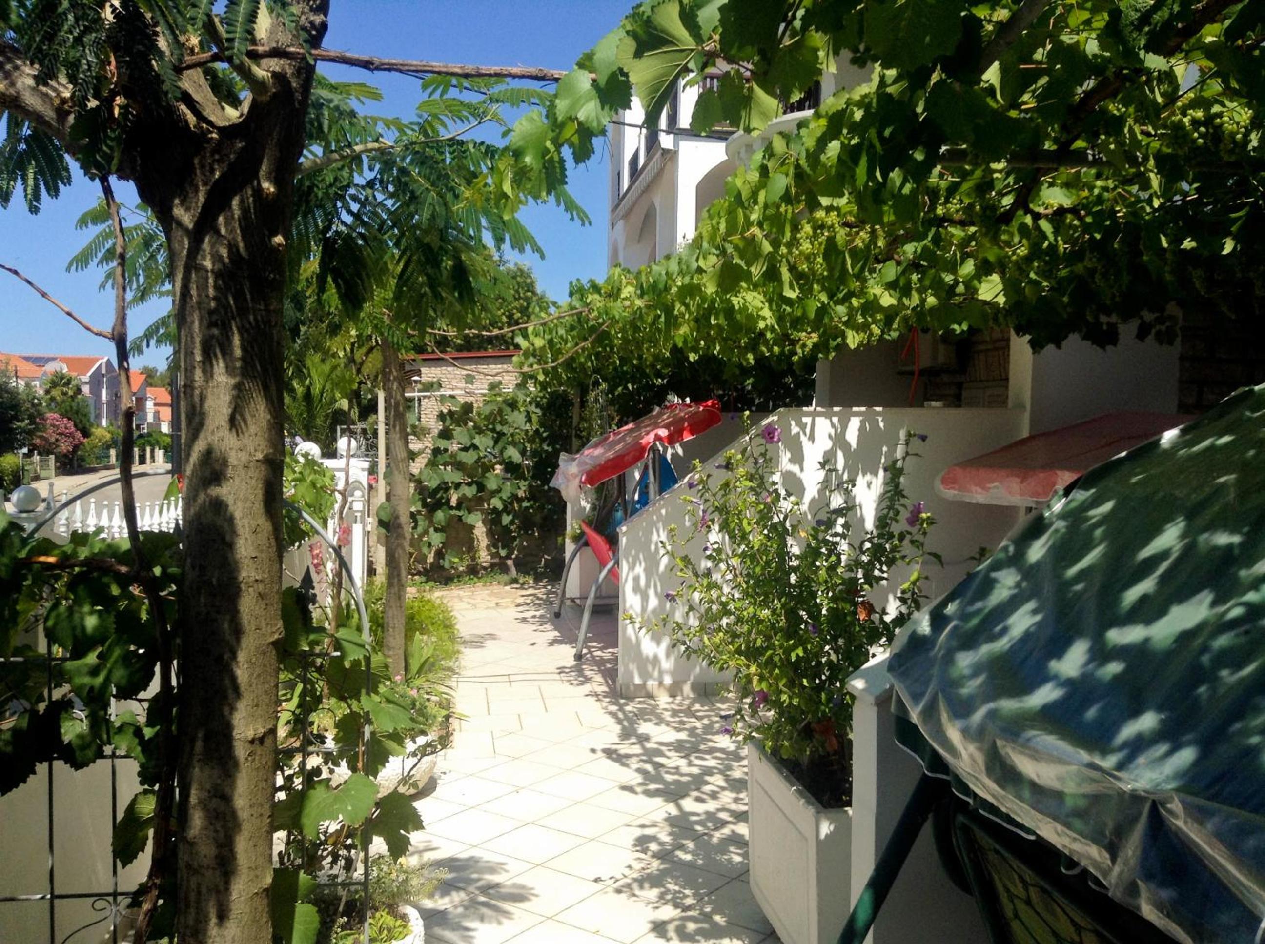 Photo 7