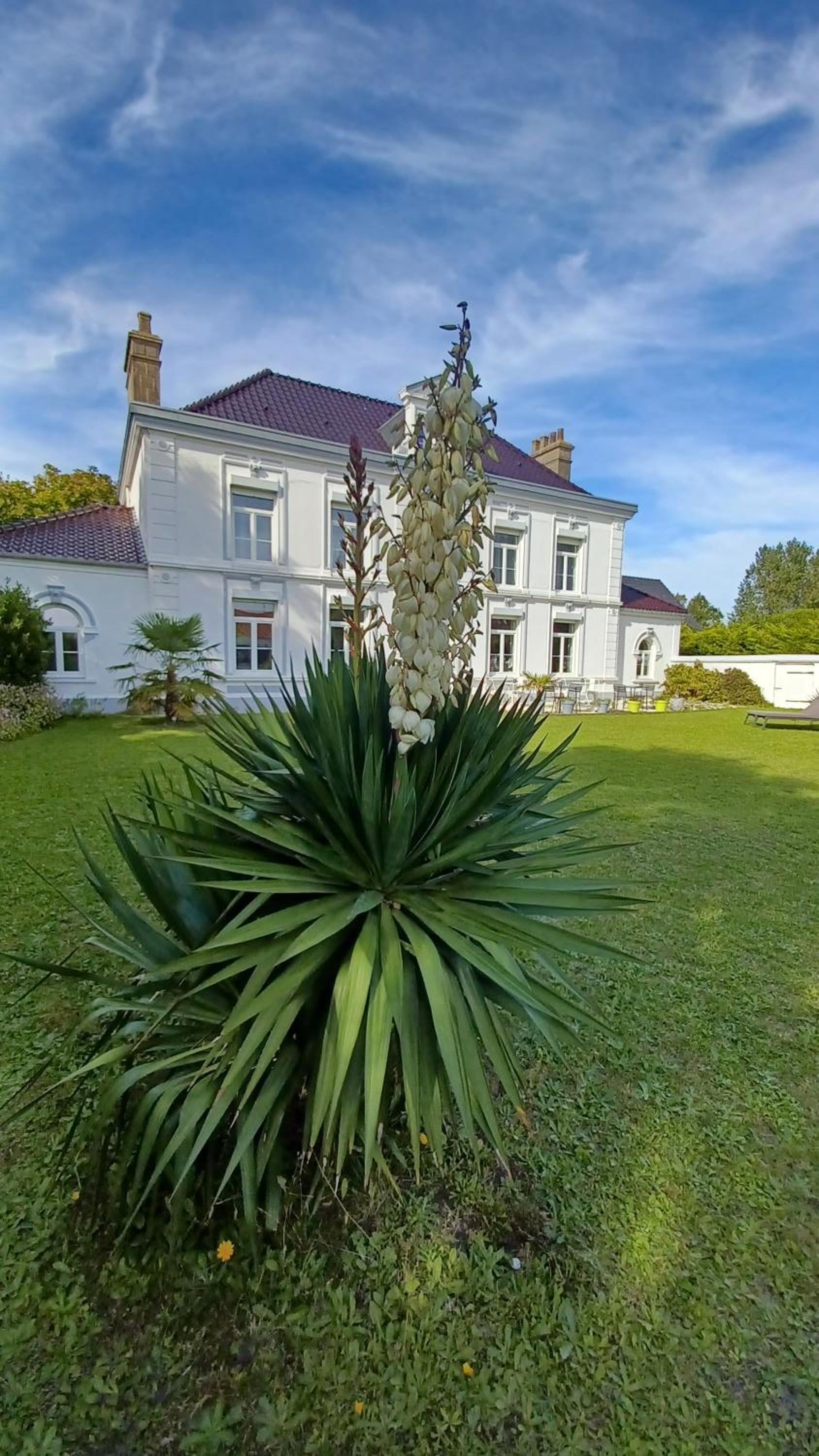 Photo 48