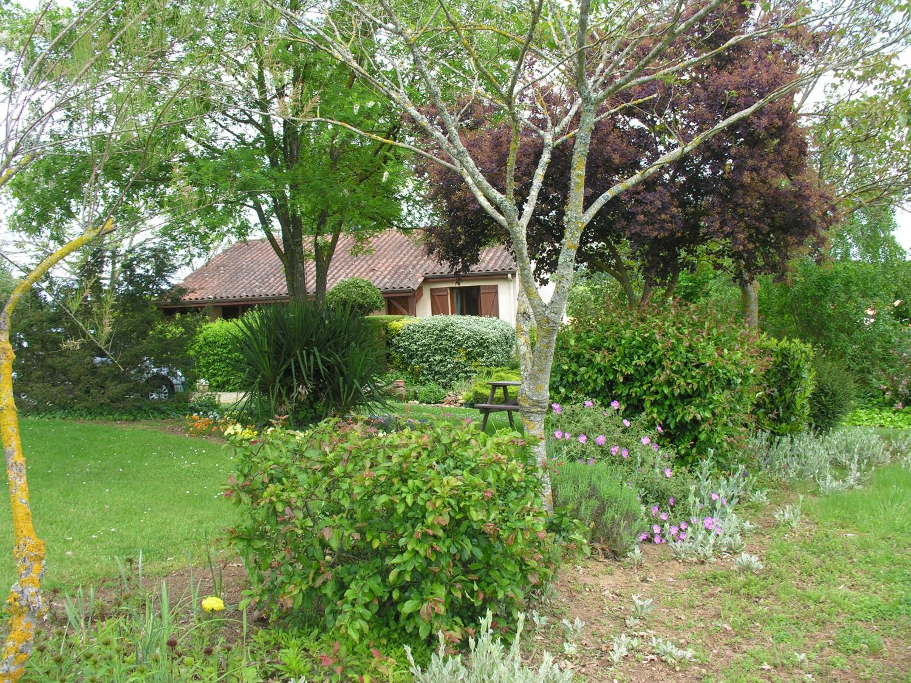 Photo 12