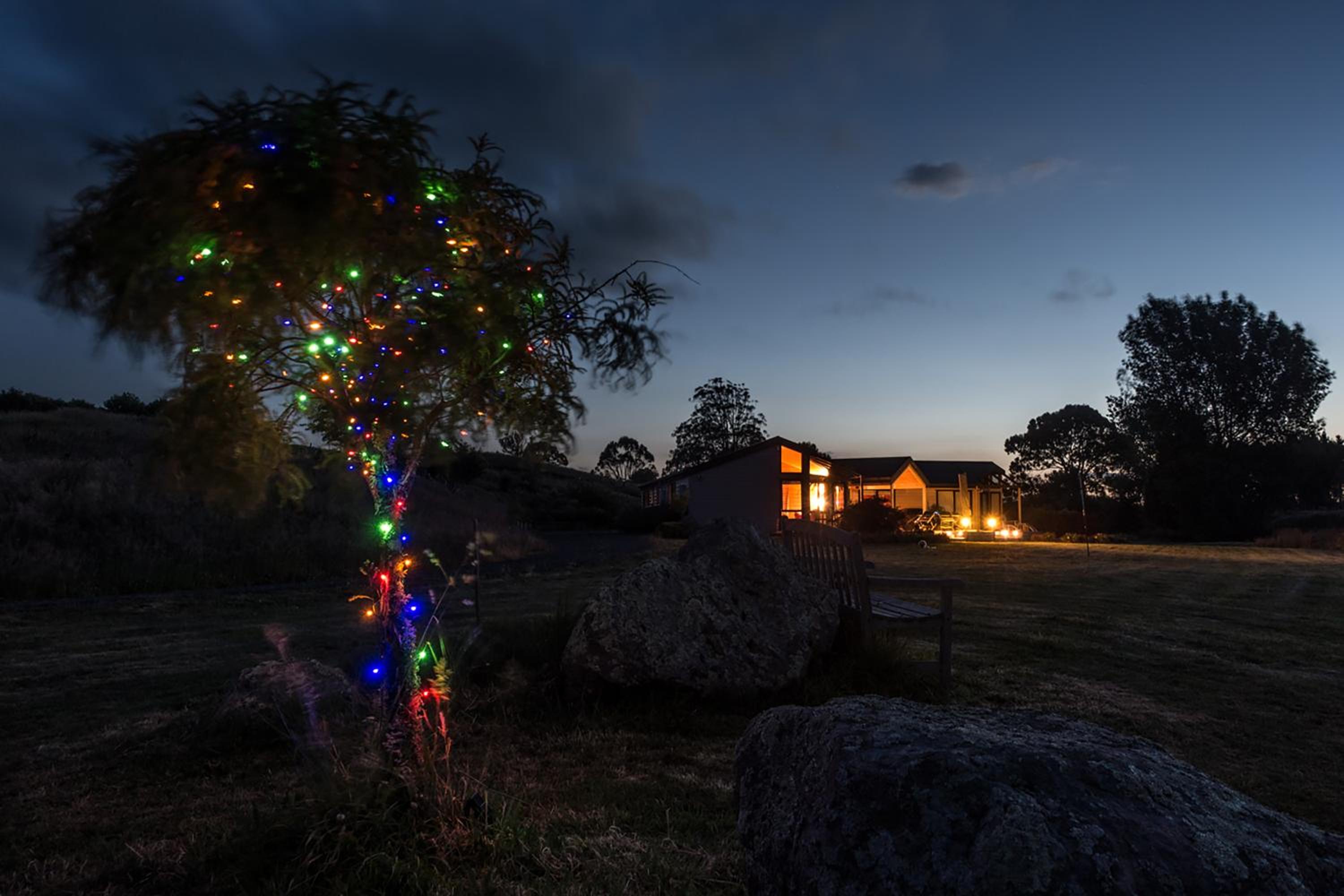 Astelia Lodge
