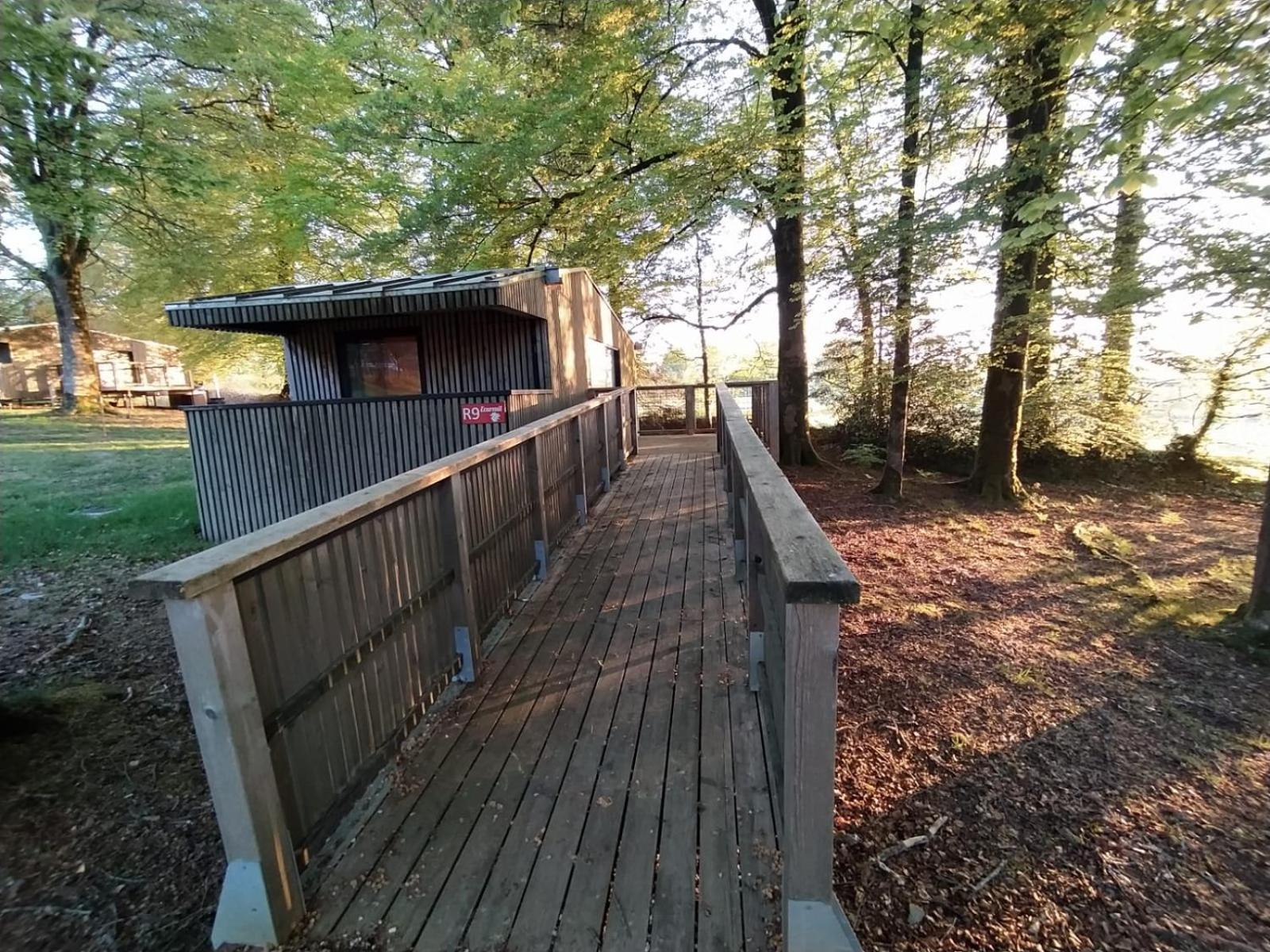 L'étape en forêt