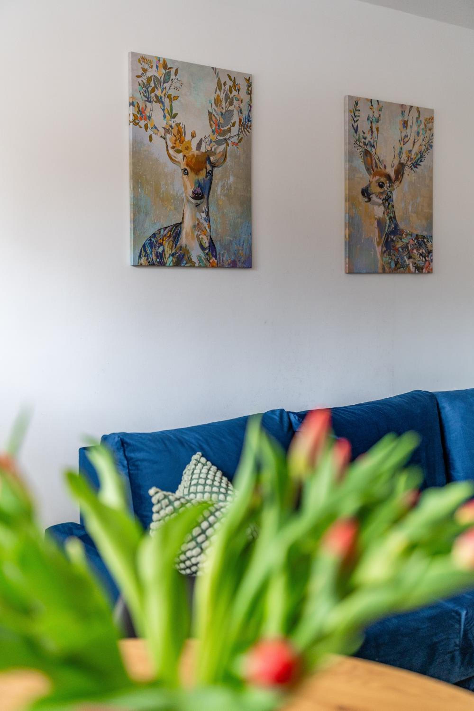 Apartament Lisowski CENTRUM