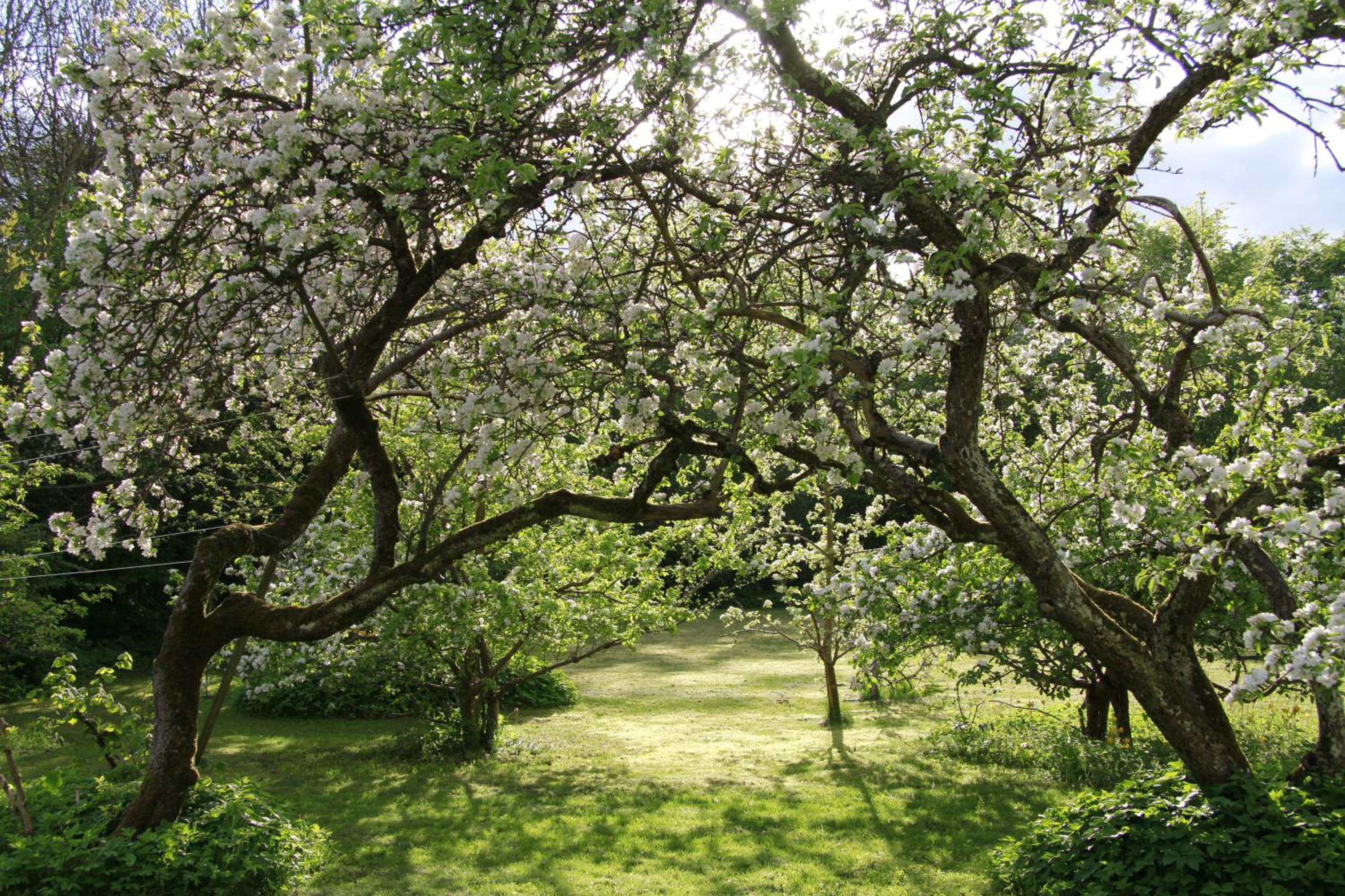 Photo 44