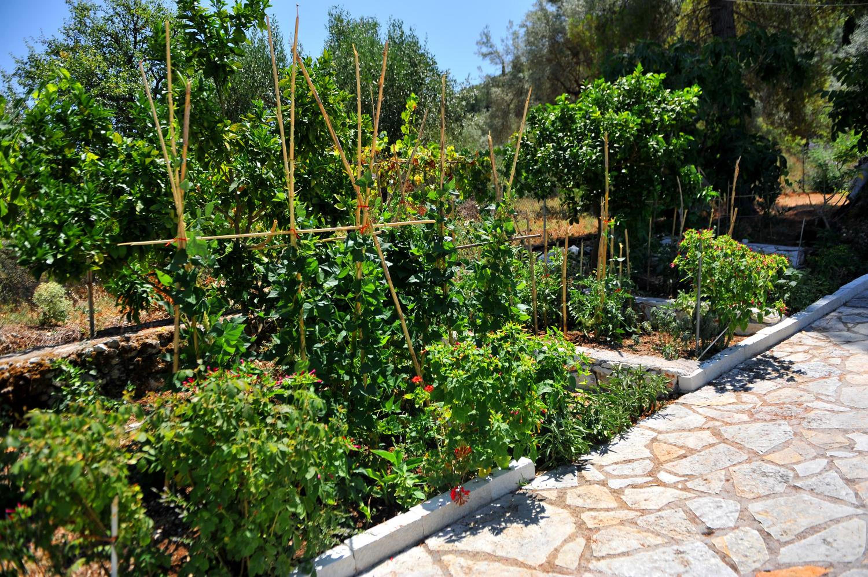 Vliho Bay Suites & Apartments
