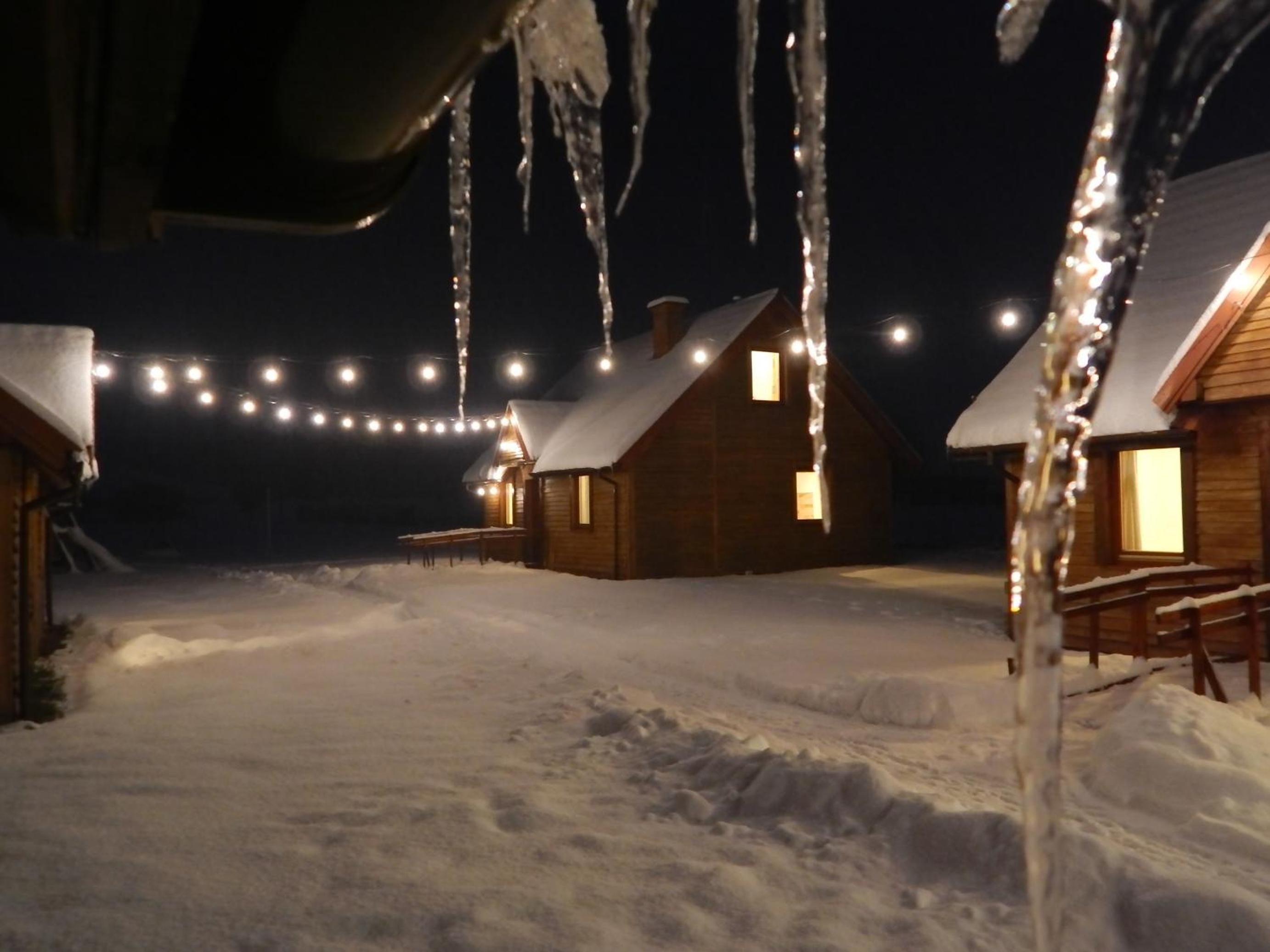 Photo 46