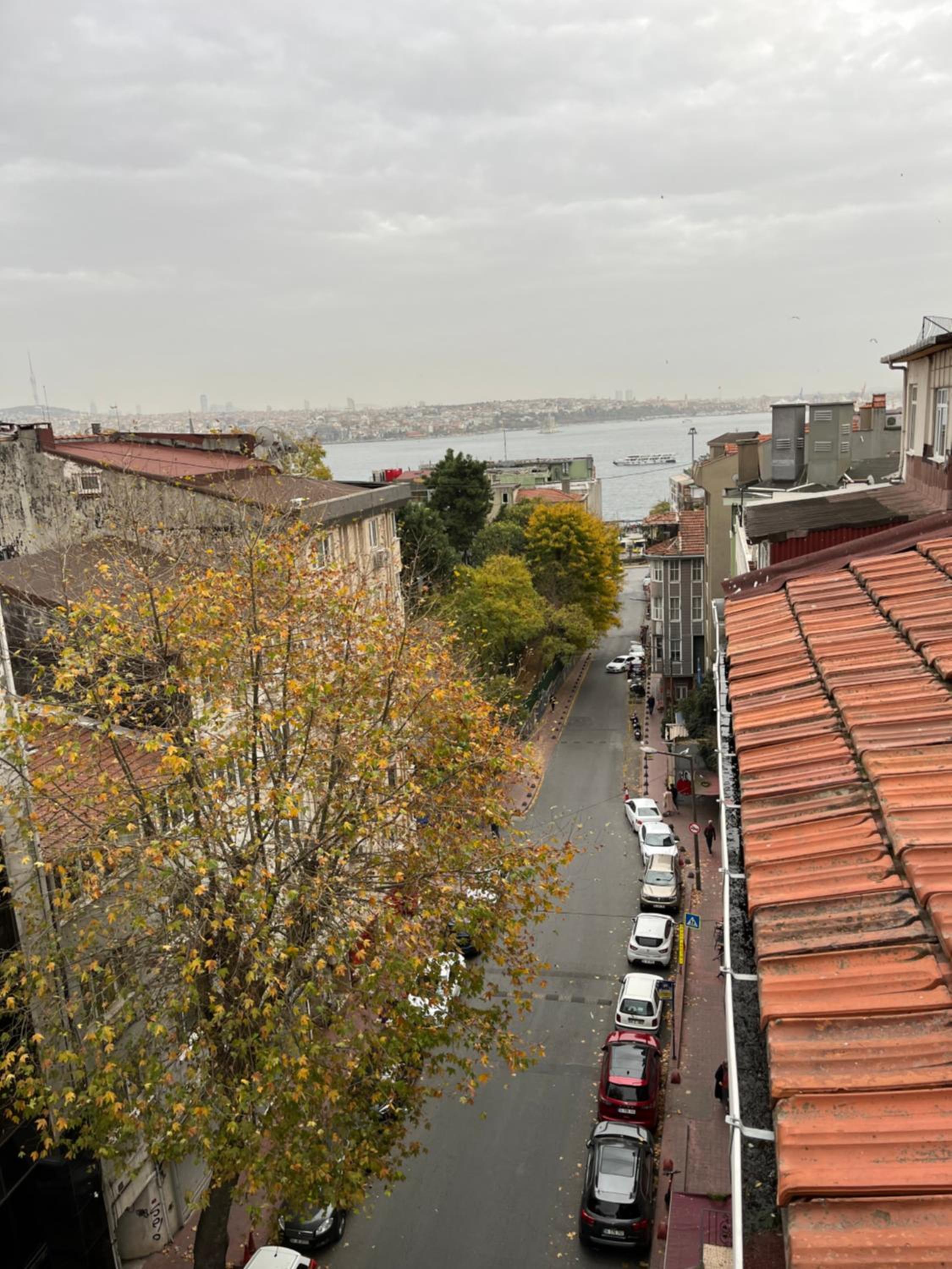 rooftop