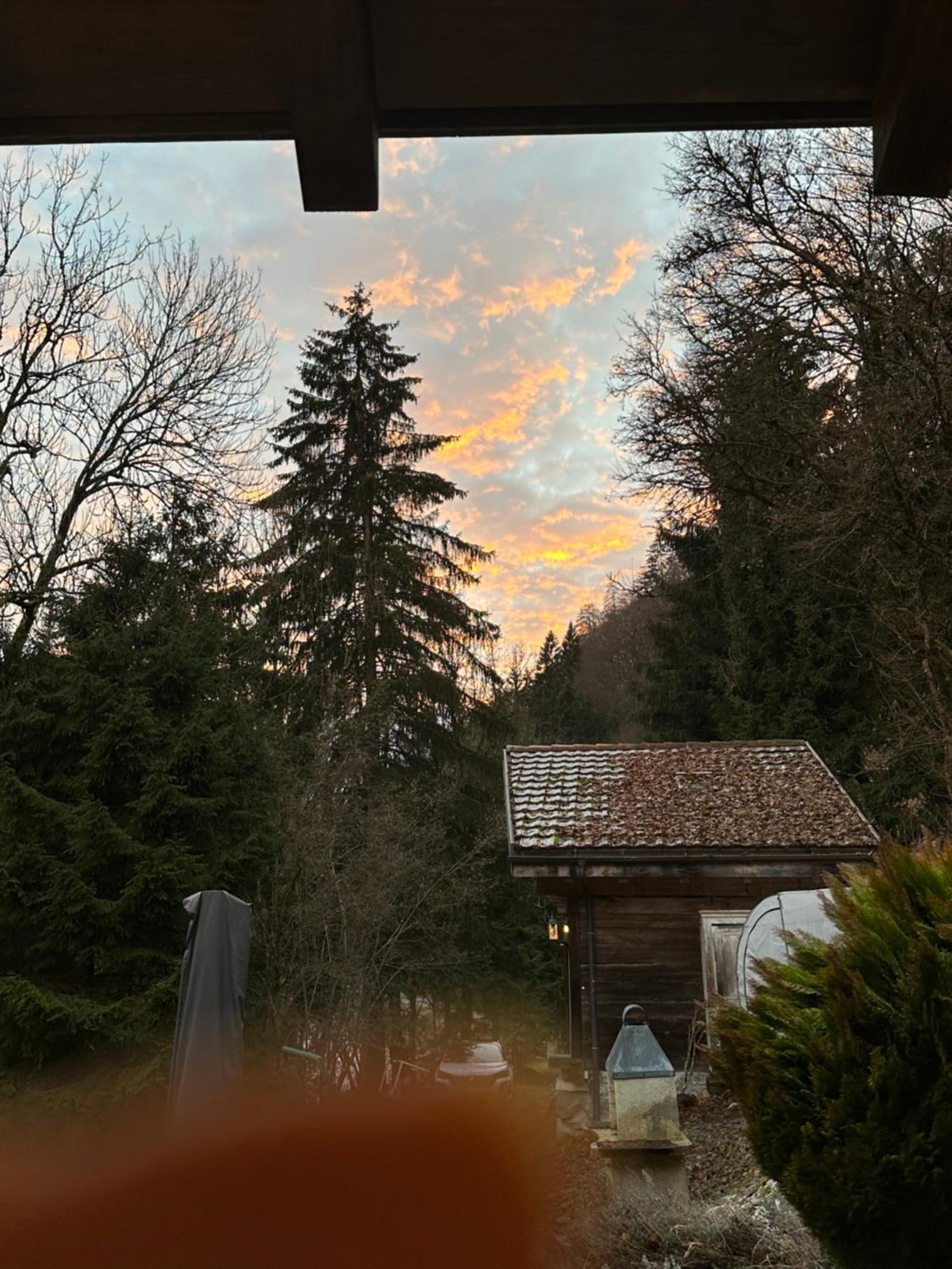 Les Quatre Saisons - balcon et jardin