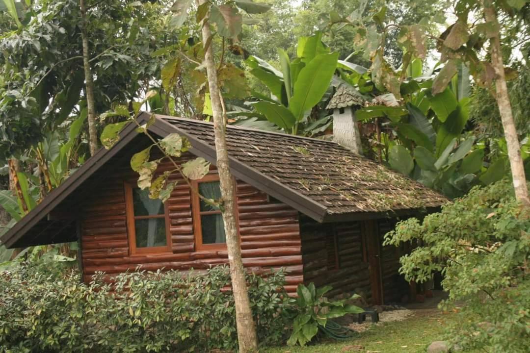 Yang Tone Farm Stay view 2