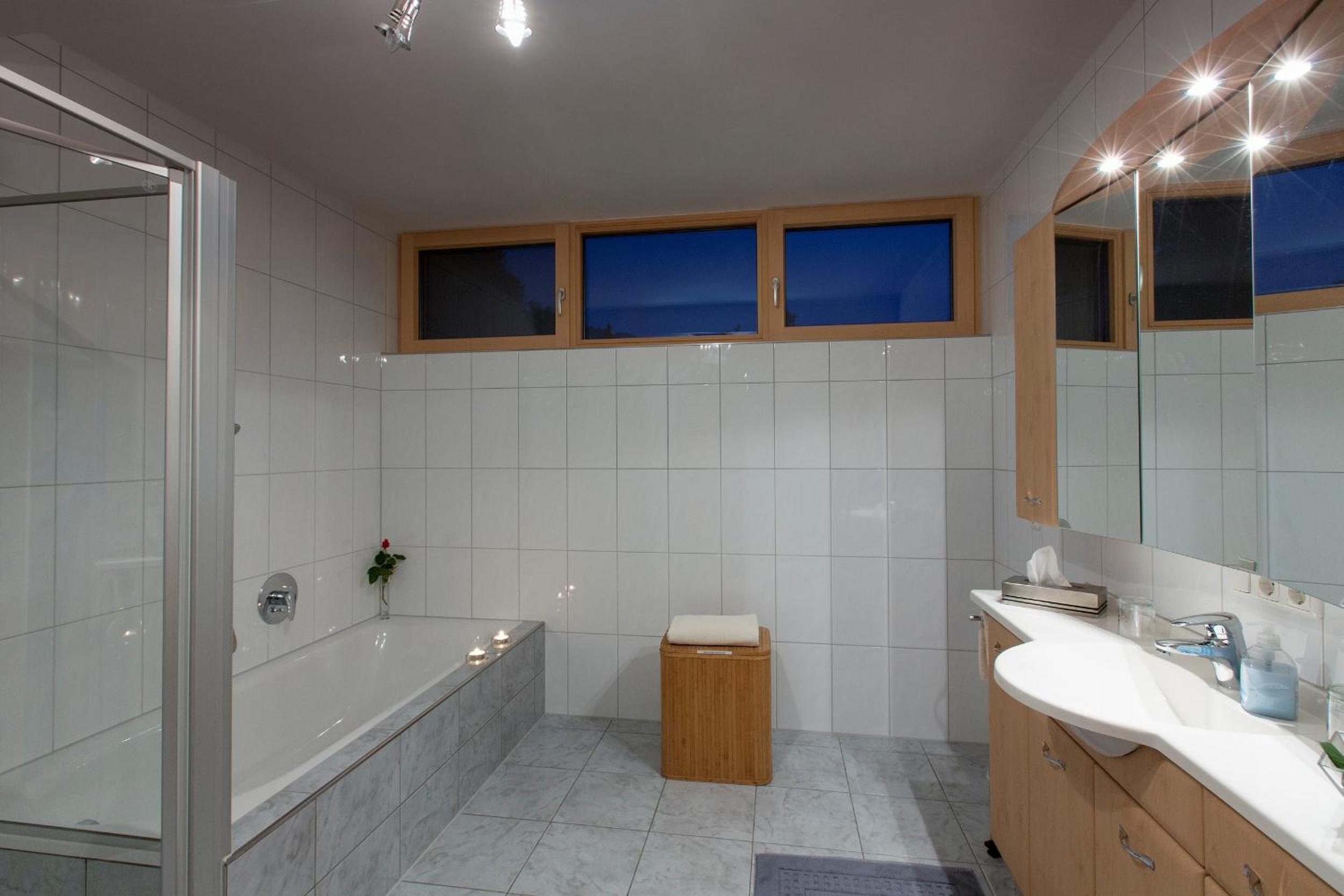 Appartment Hammerer view 5