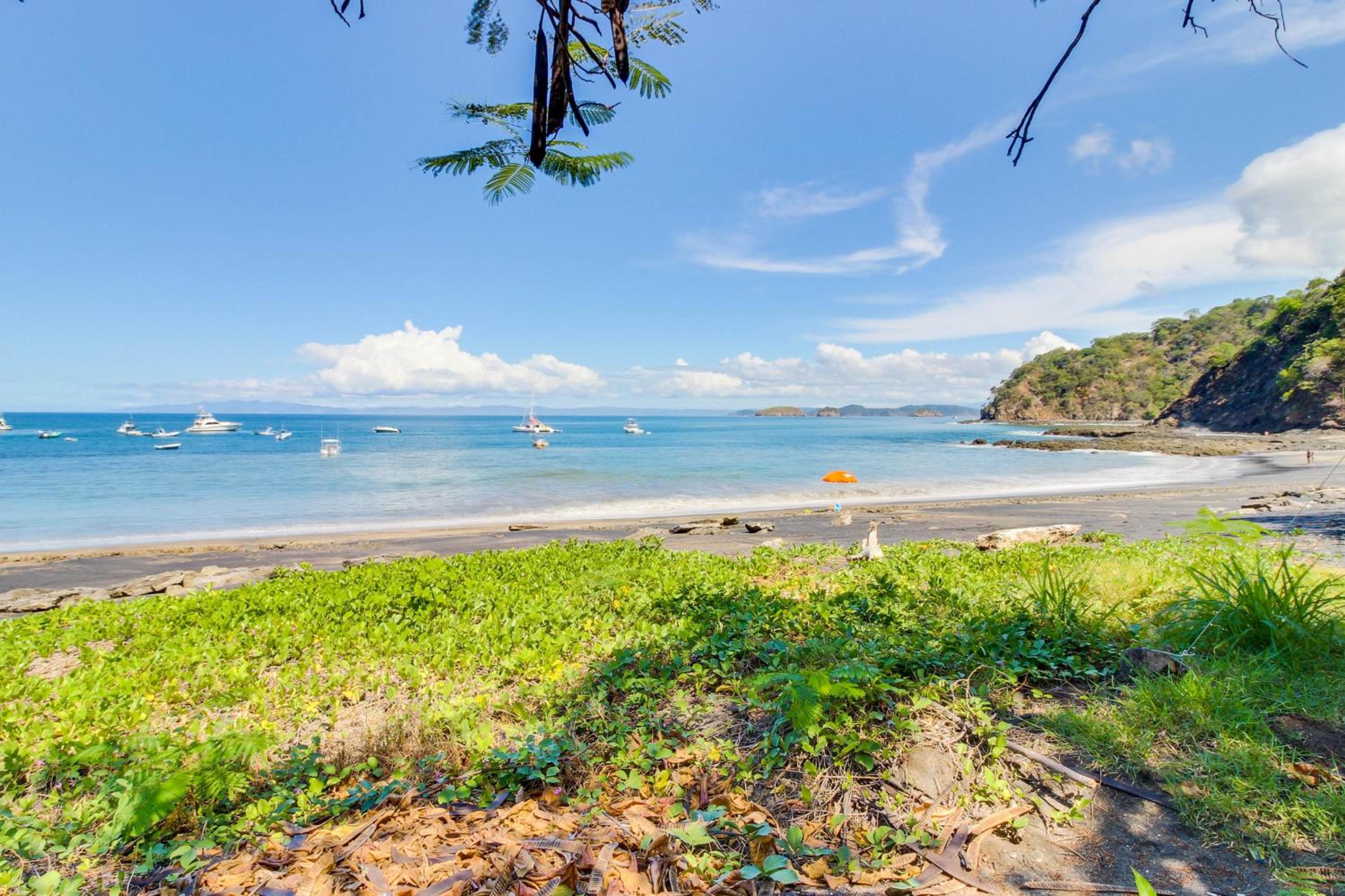 The Cove 3/4 view 5